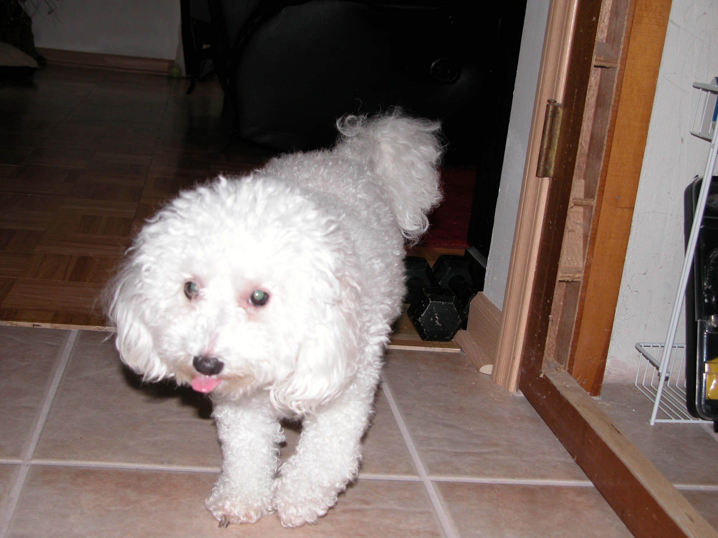 DSCN0802.JPG