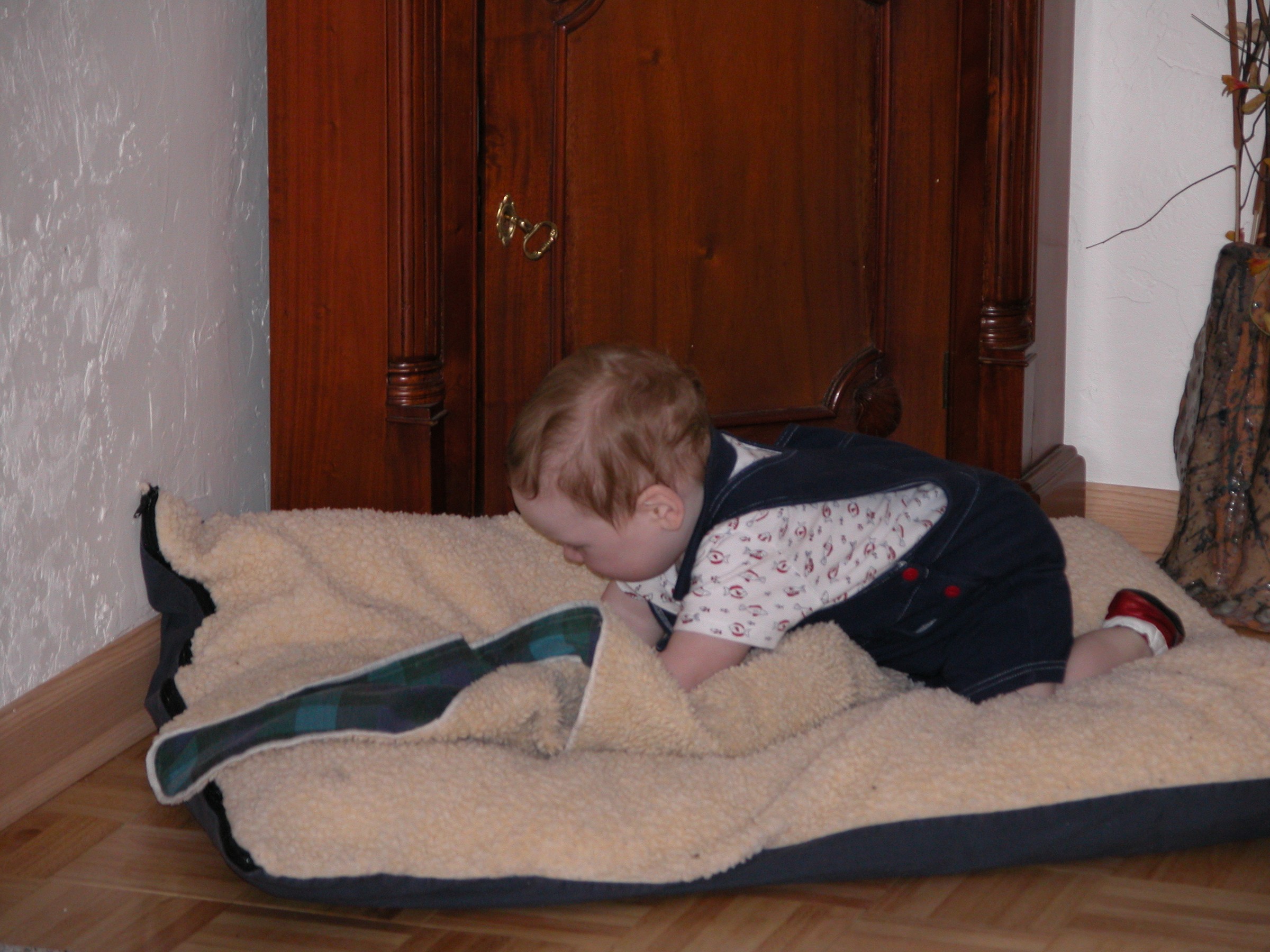 DSCN0807.JPG