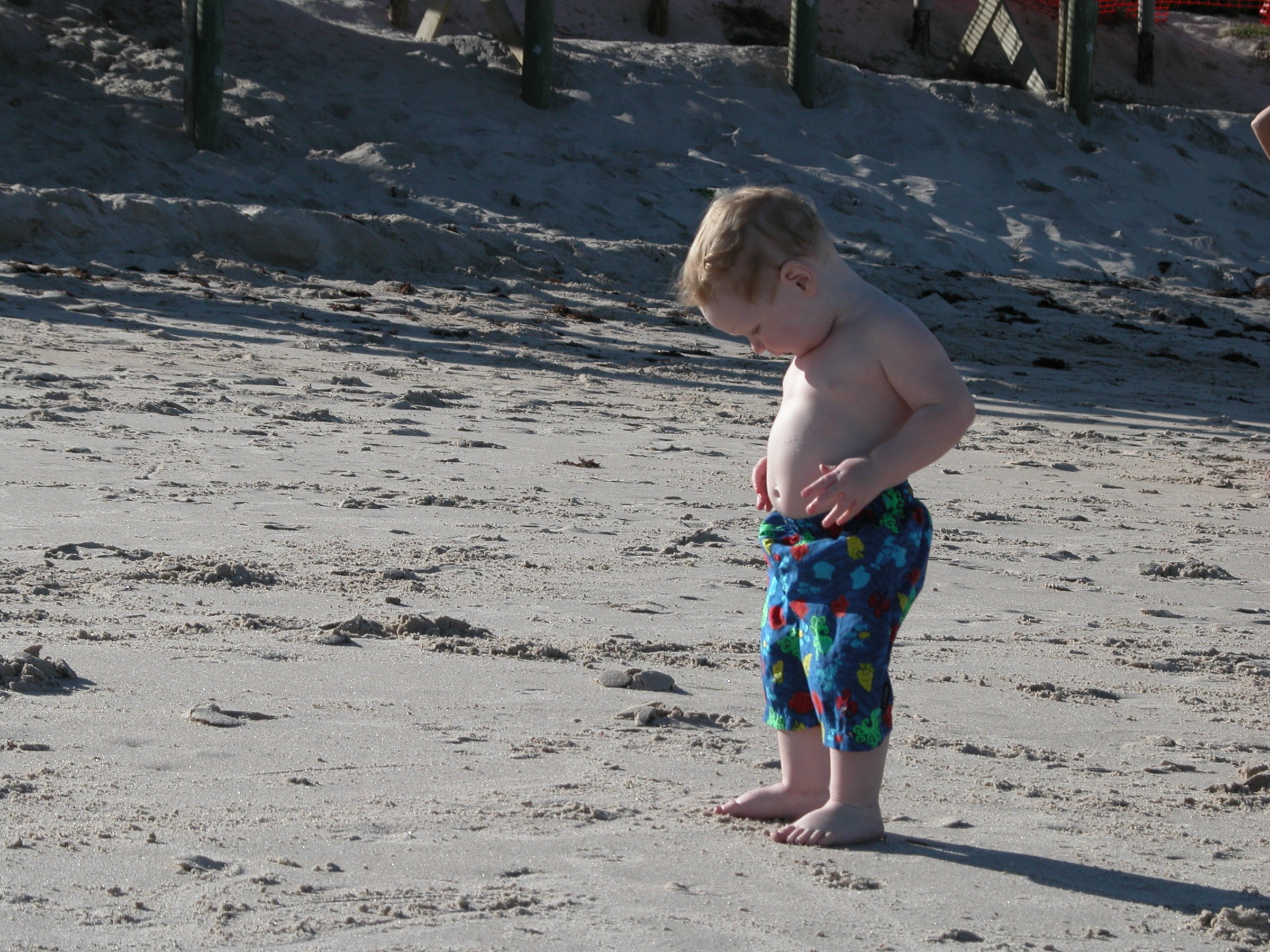 DSCN0818.JPG