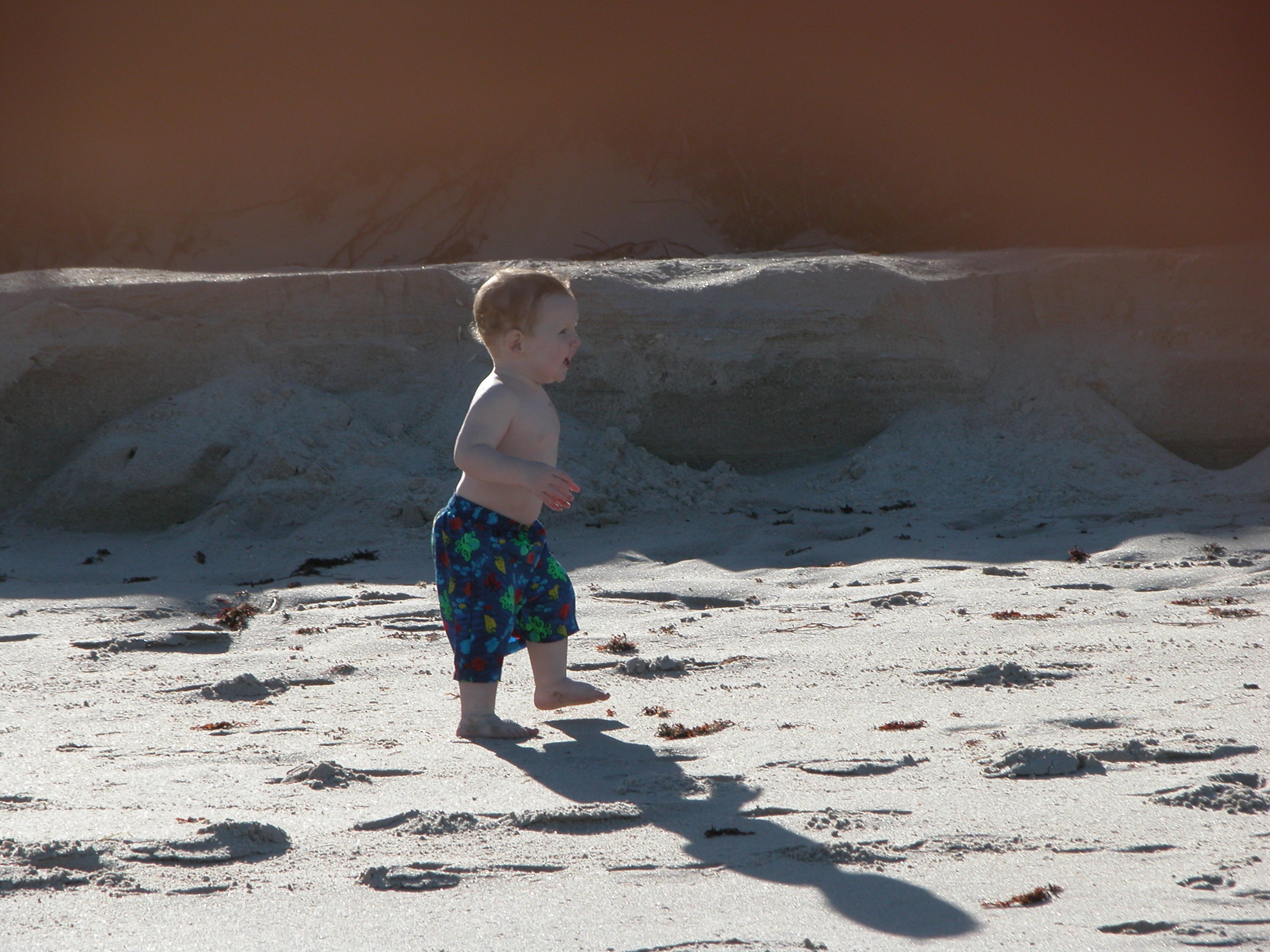 DSCN0841.JPG