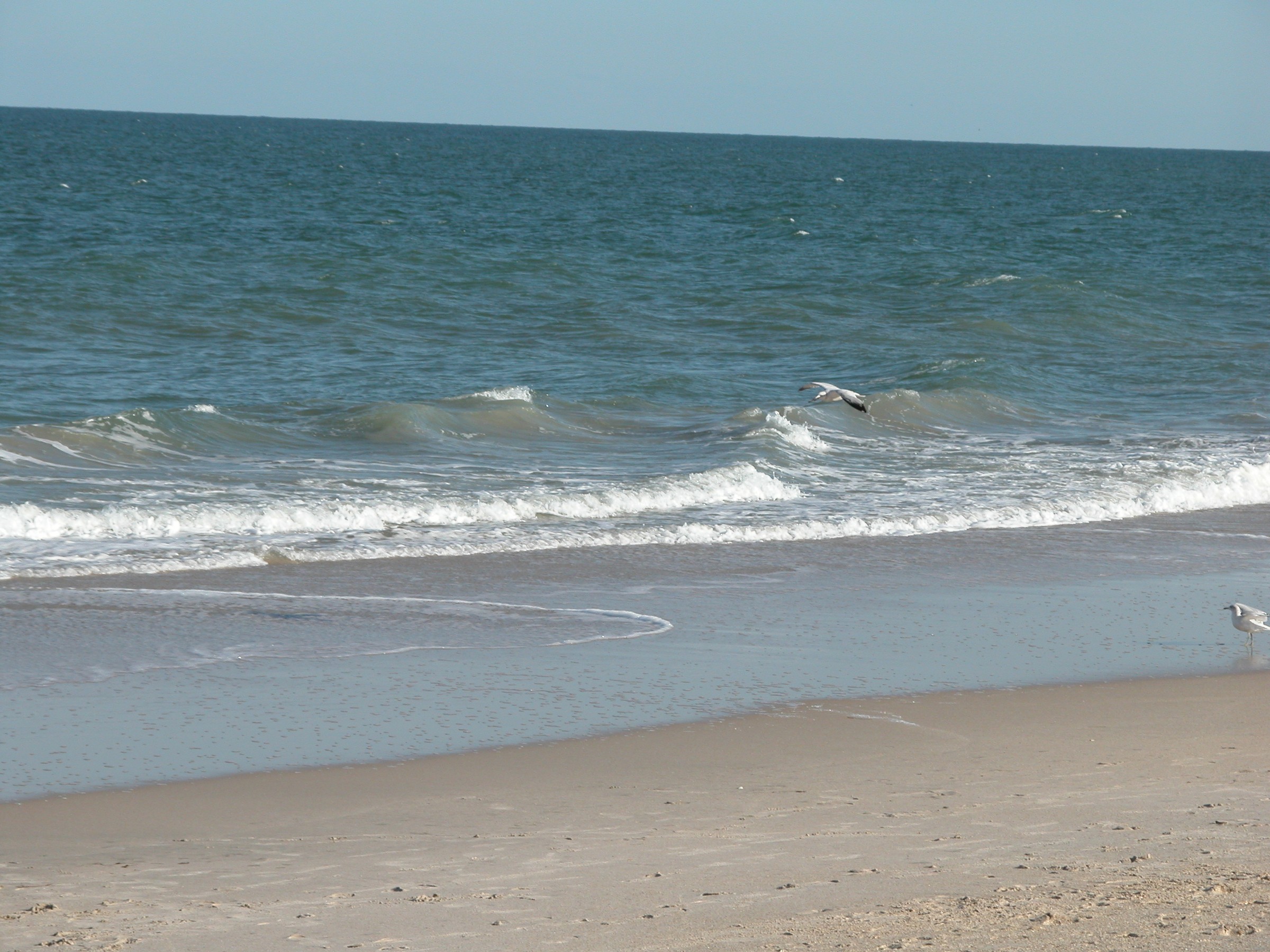 DSCN0848.JPG