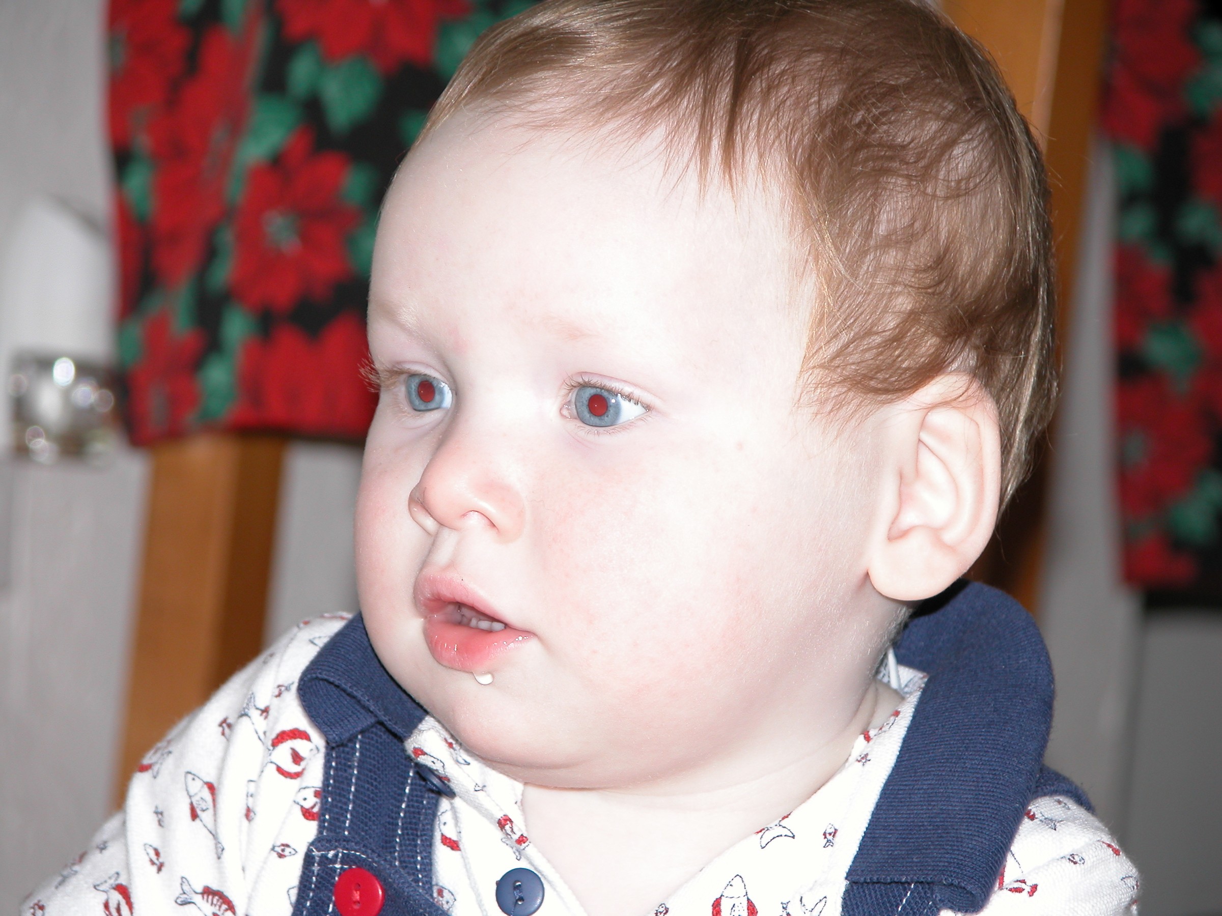 DSCN0799.JPG