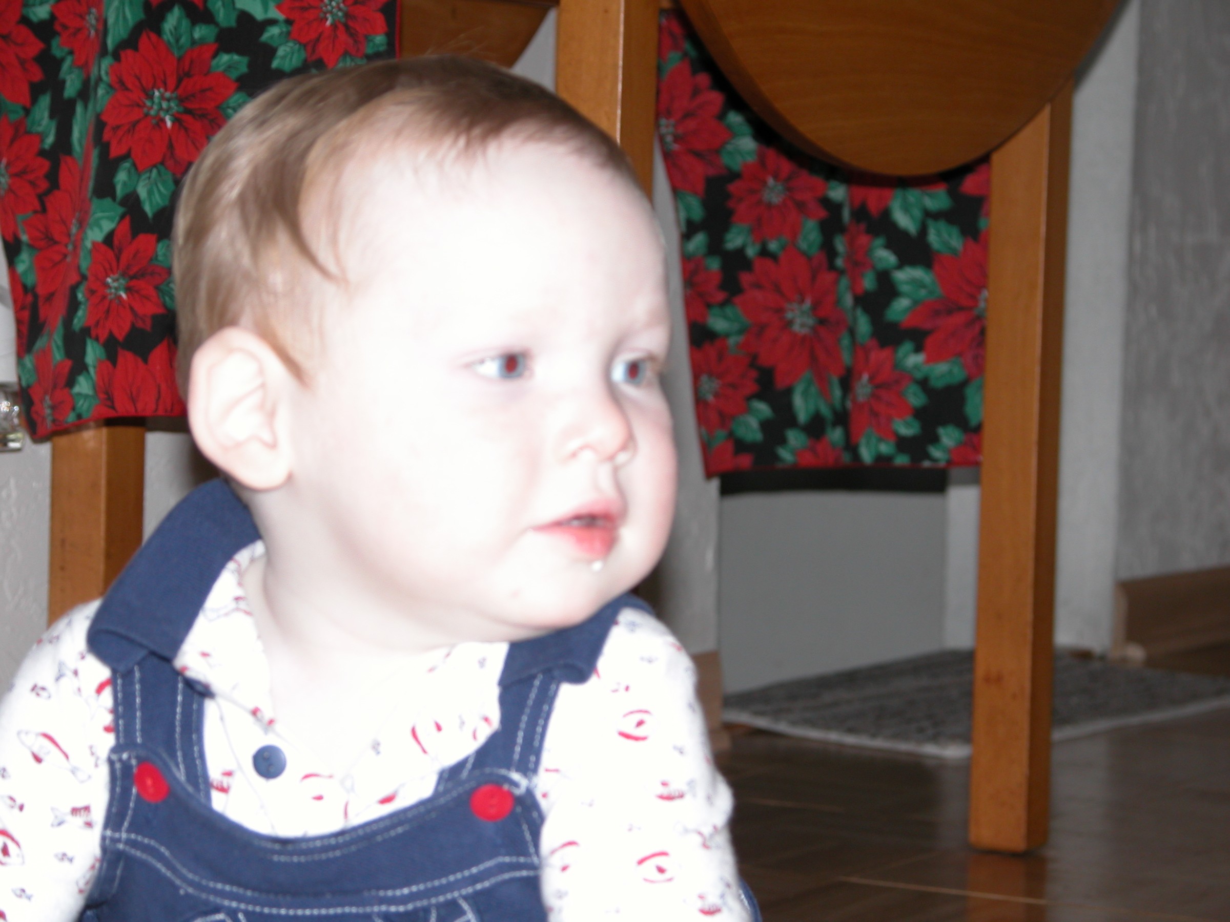 DSCN0800.JPG