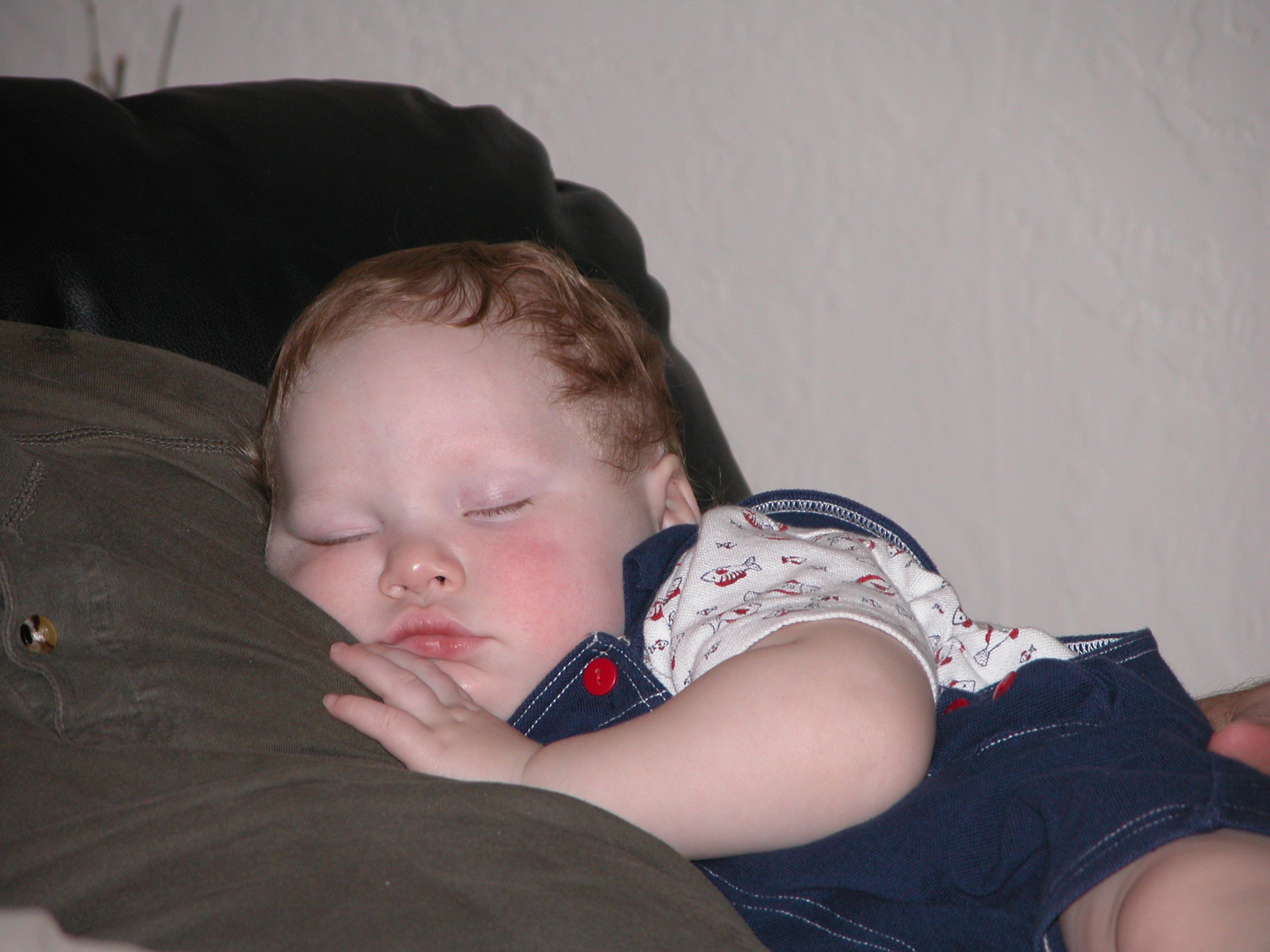 DSCN0805.JPG