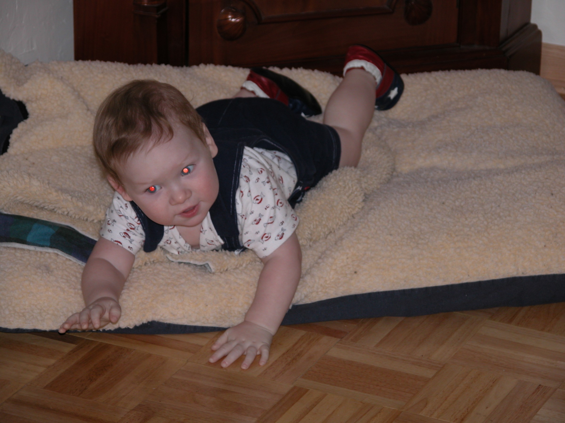 DSCN0808.JPG