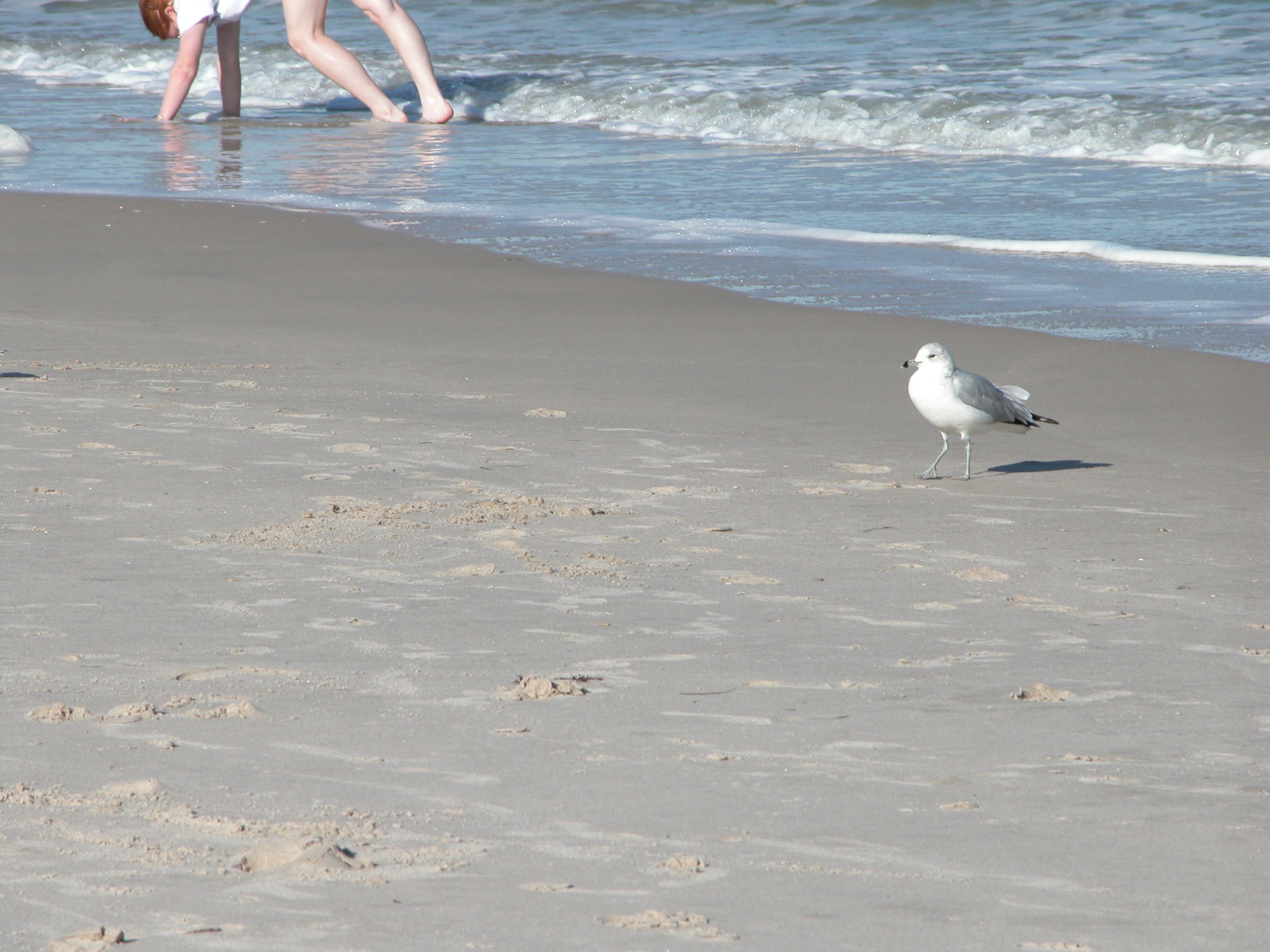 DSCN0811.JPG