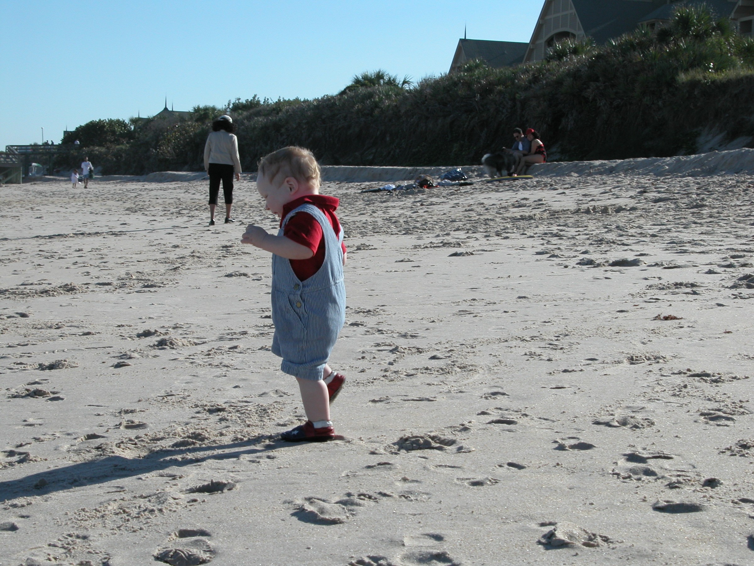 DSCN0812.JPG