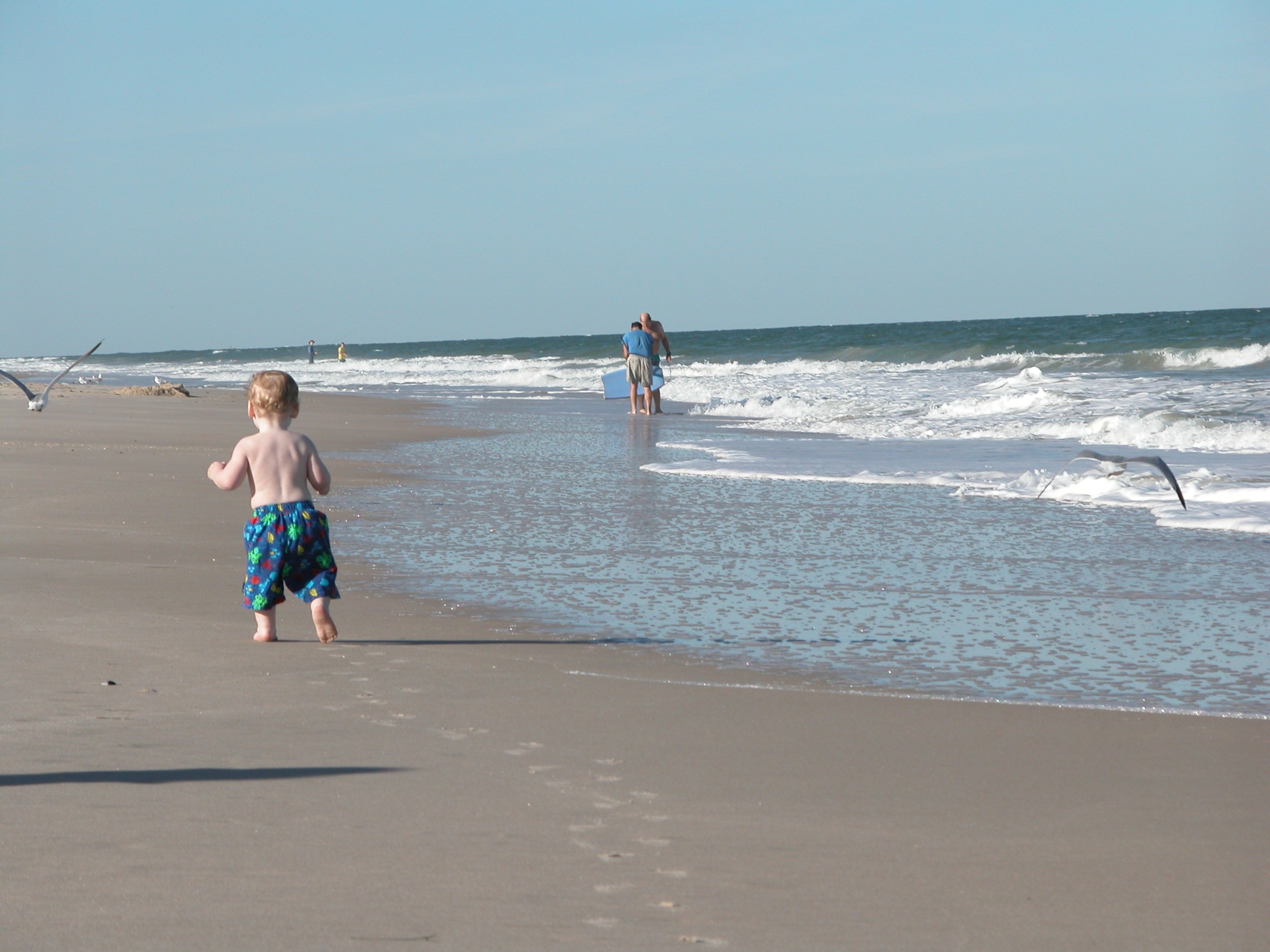 DSCN0871.JPG