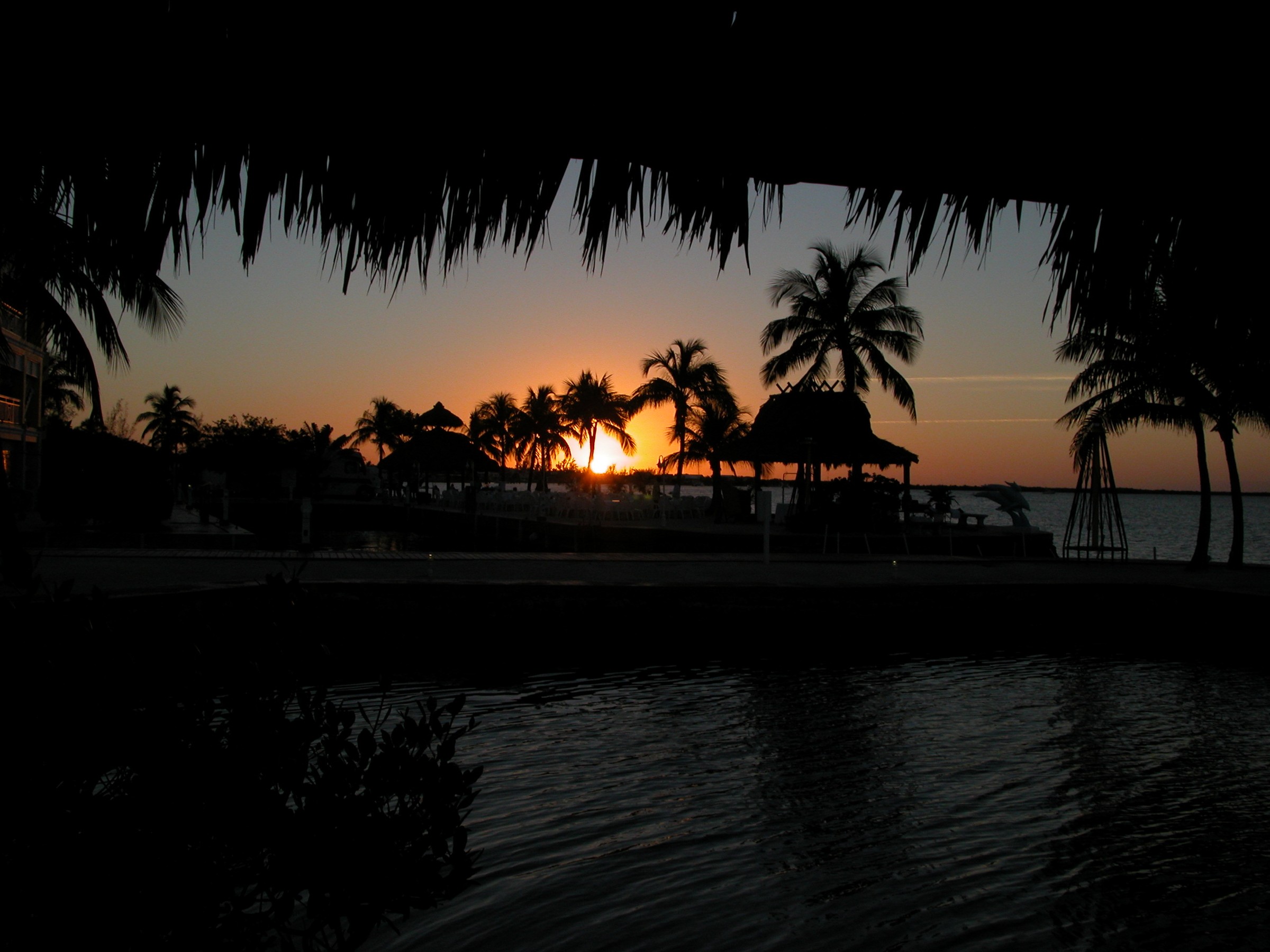 DSCN8500.JPG