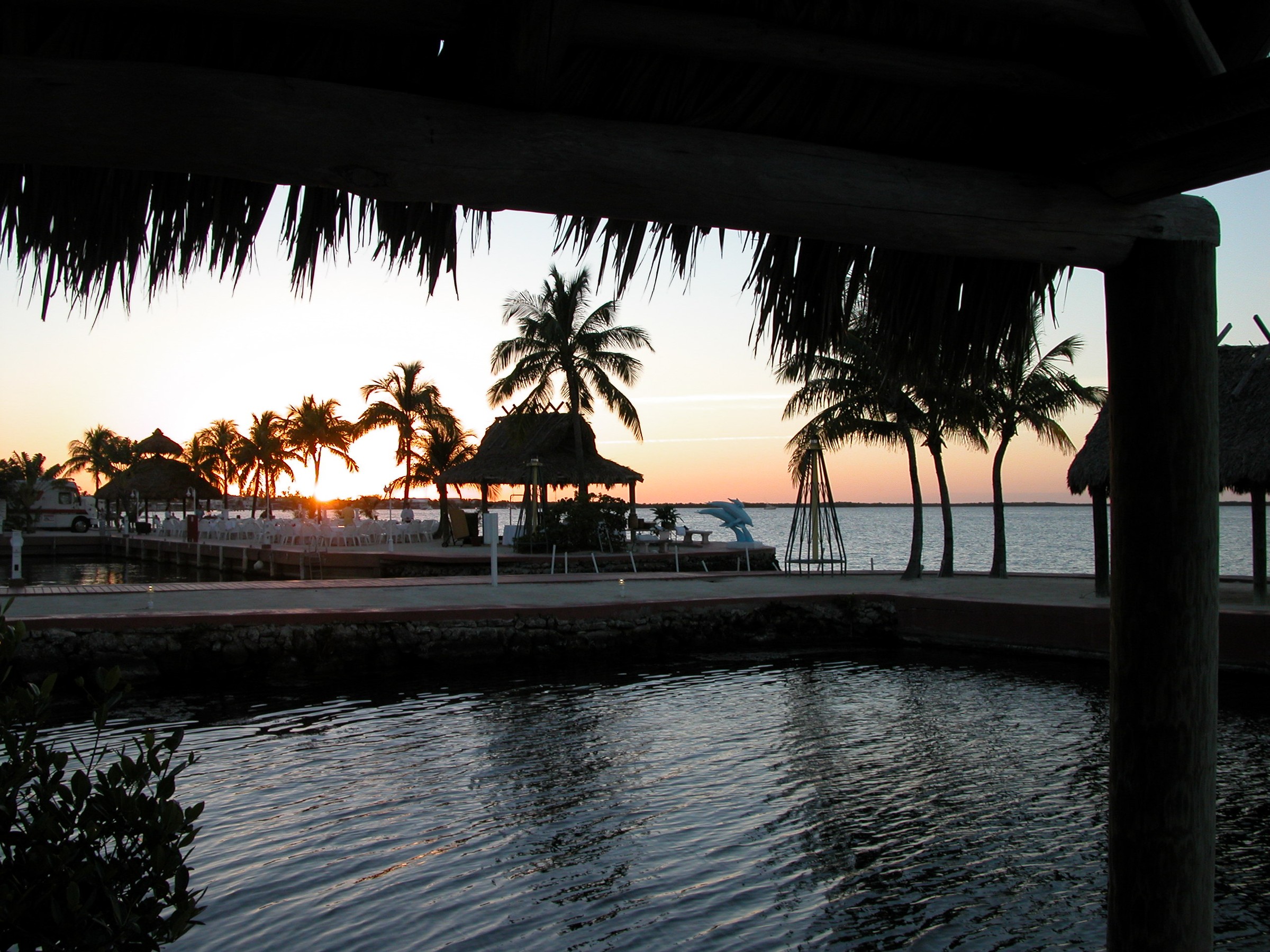 DSCN8501.JPG