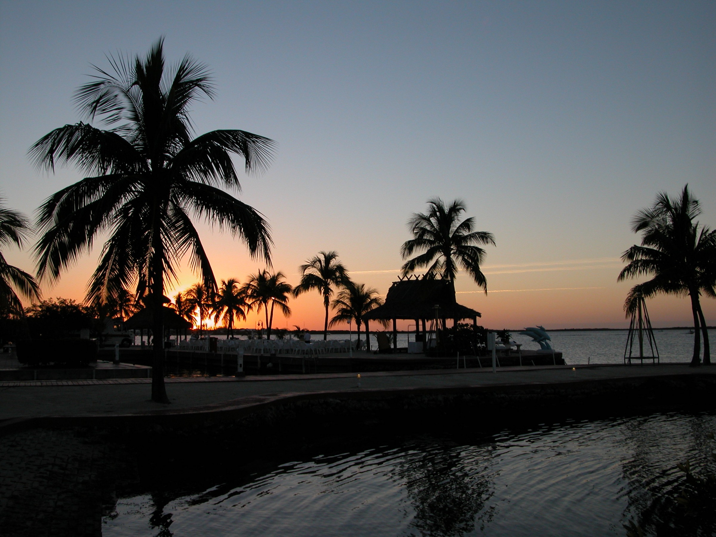 DSCN8502.JPG