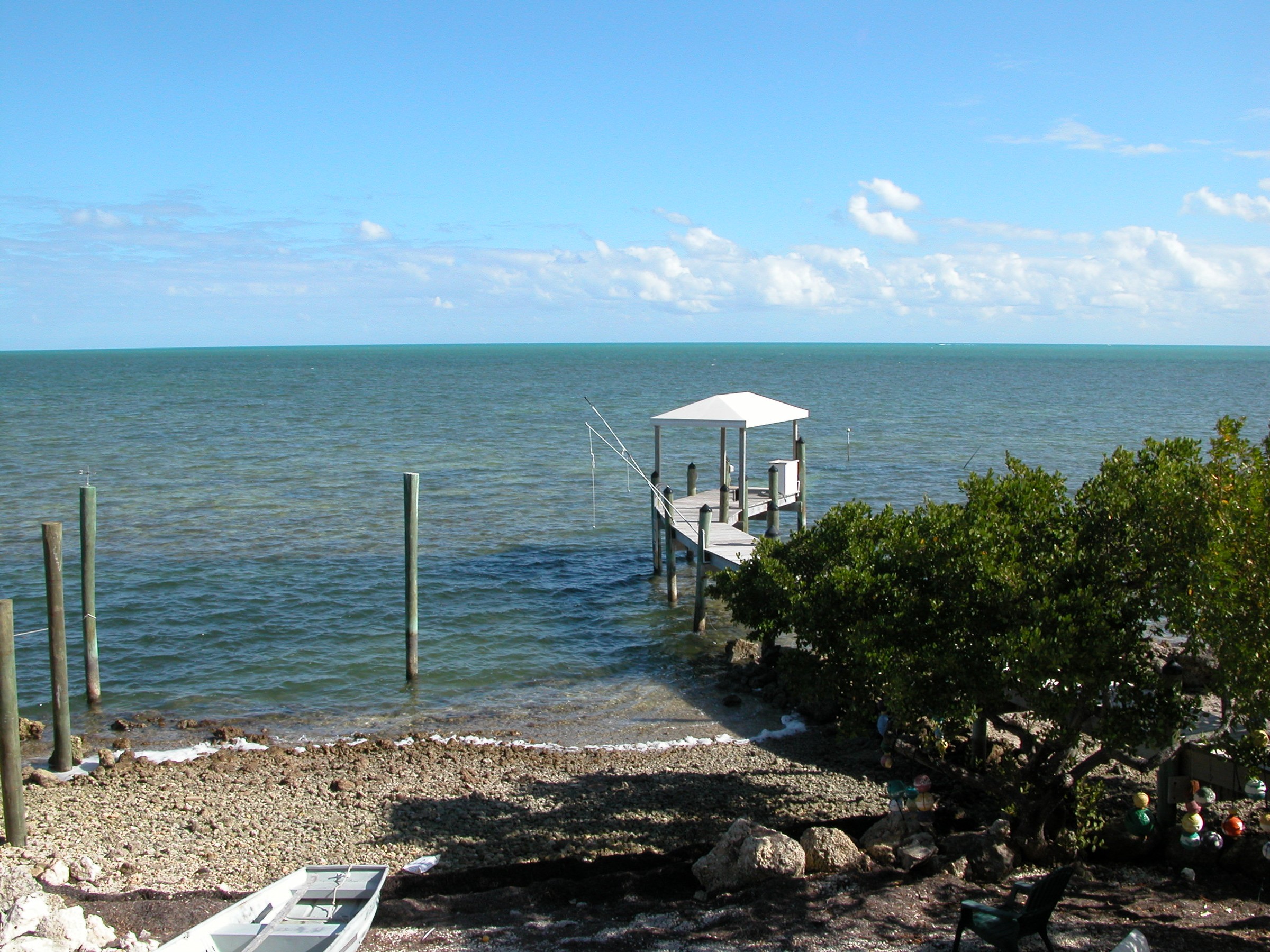 DSCN8503.JPG