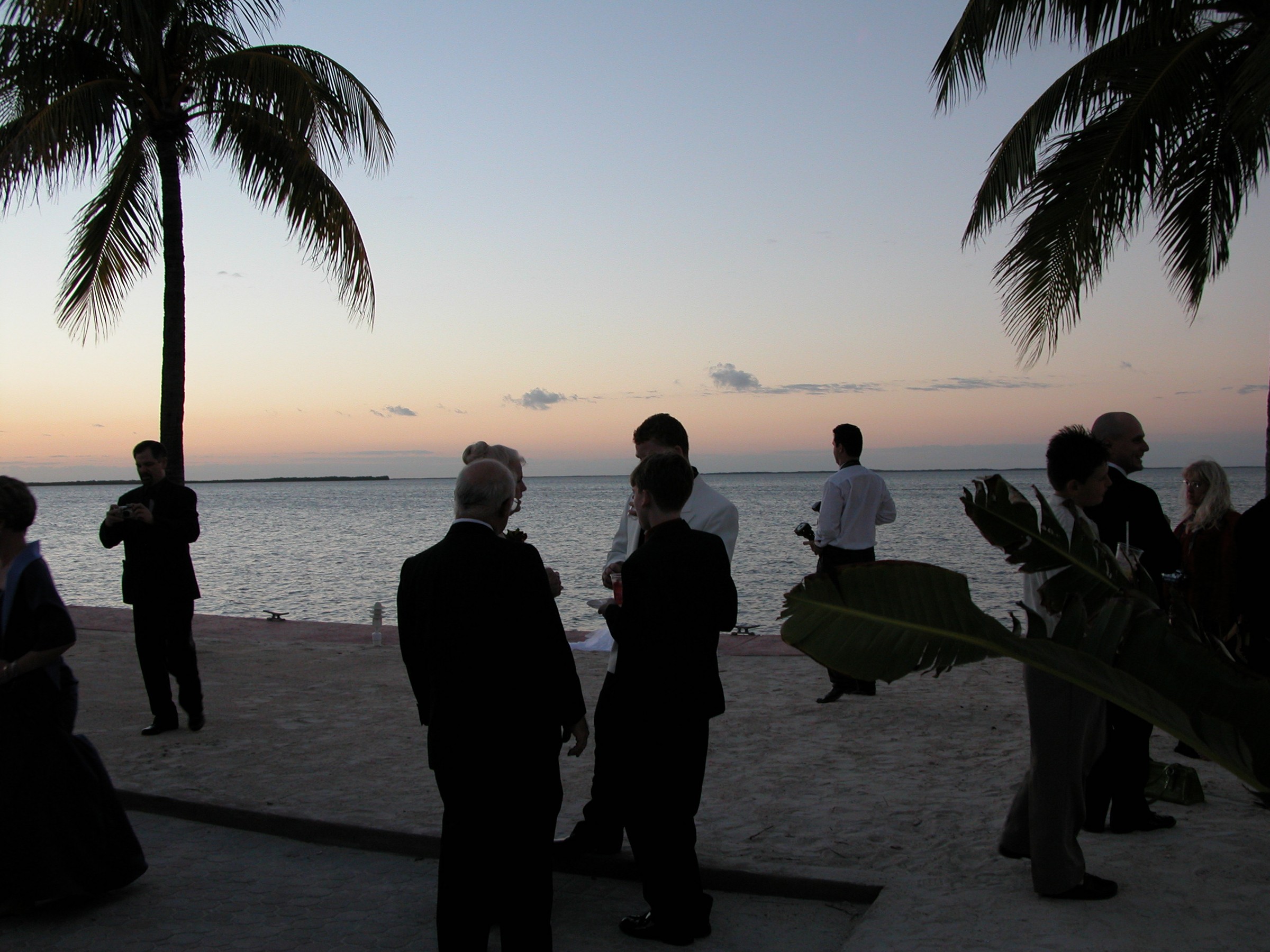 DSCN8510.JPG