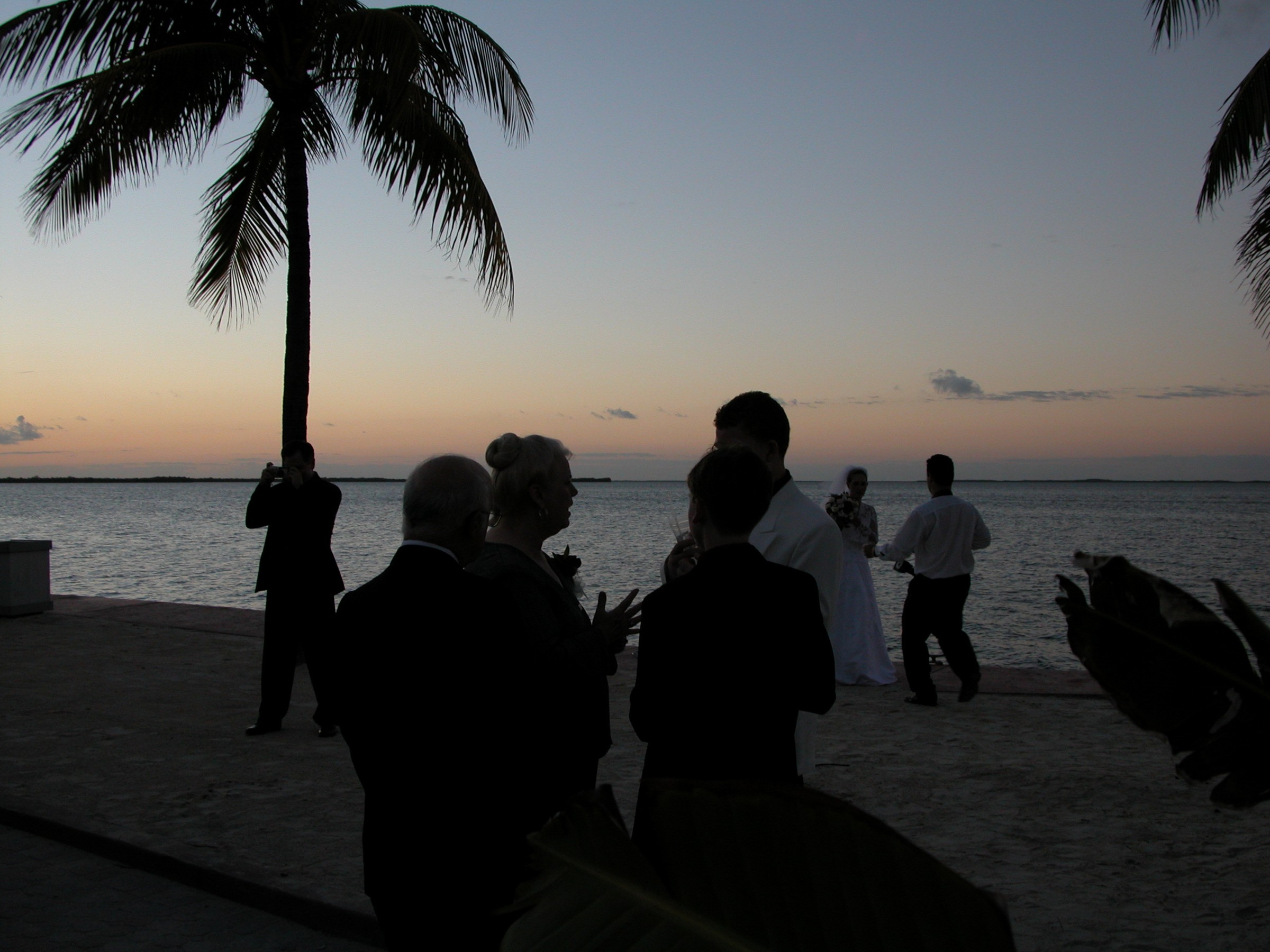 DSCN8511.JPG