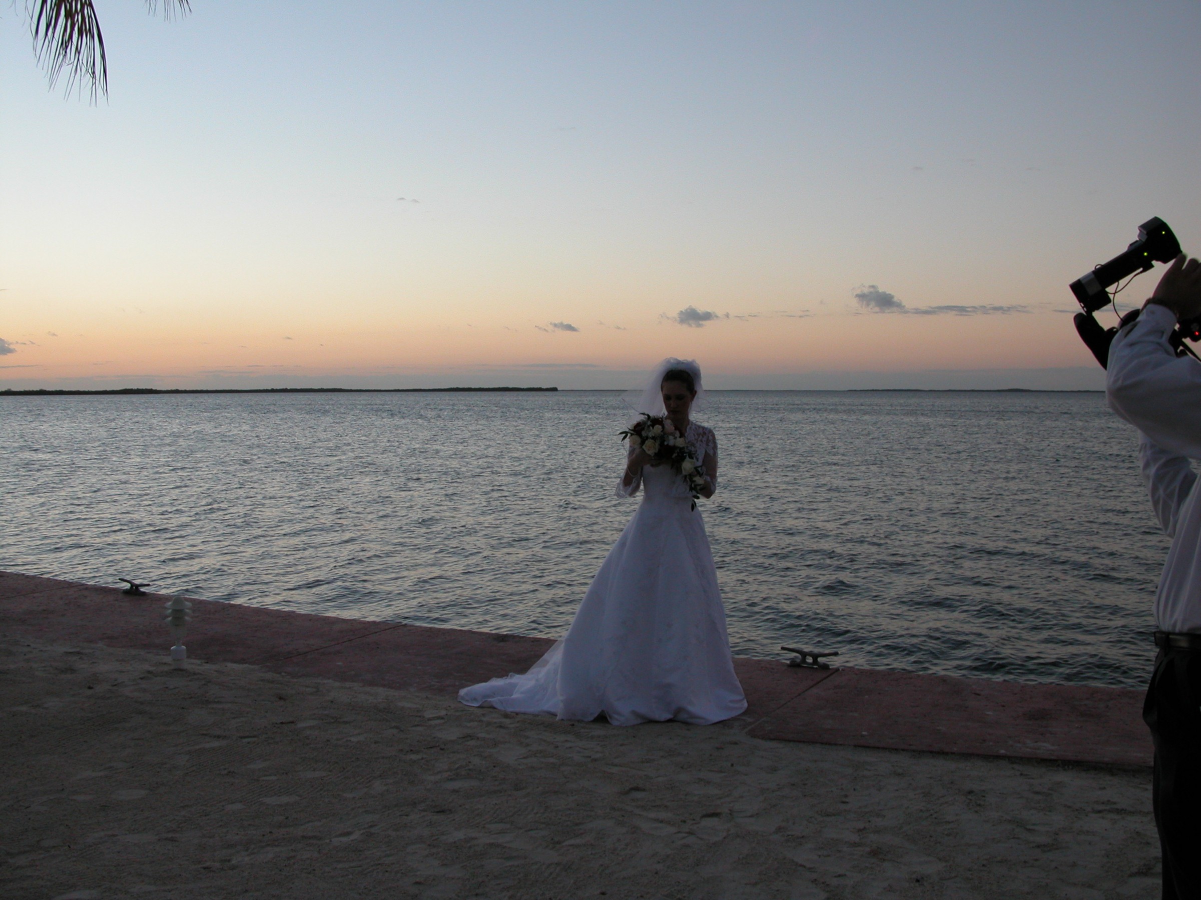 DSCN8512.JPG