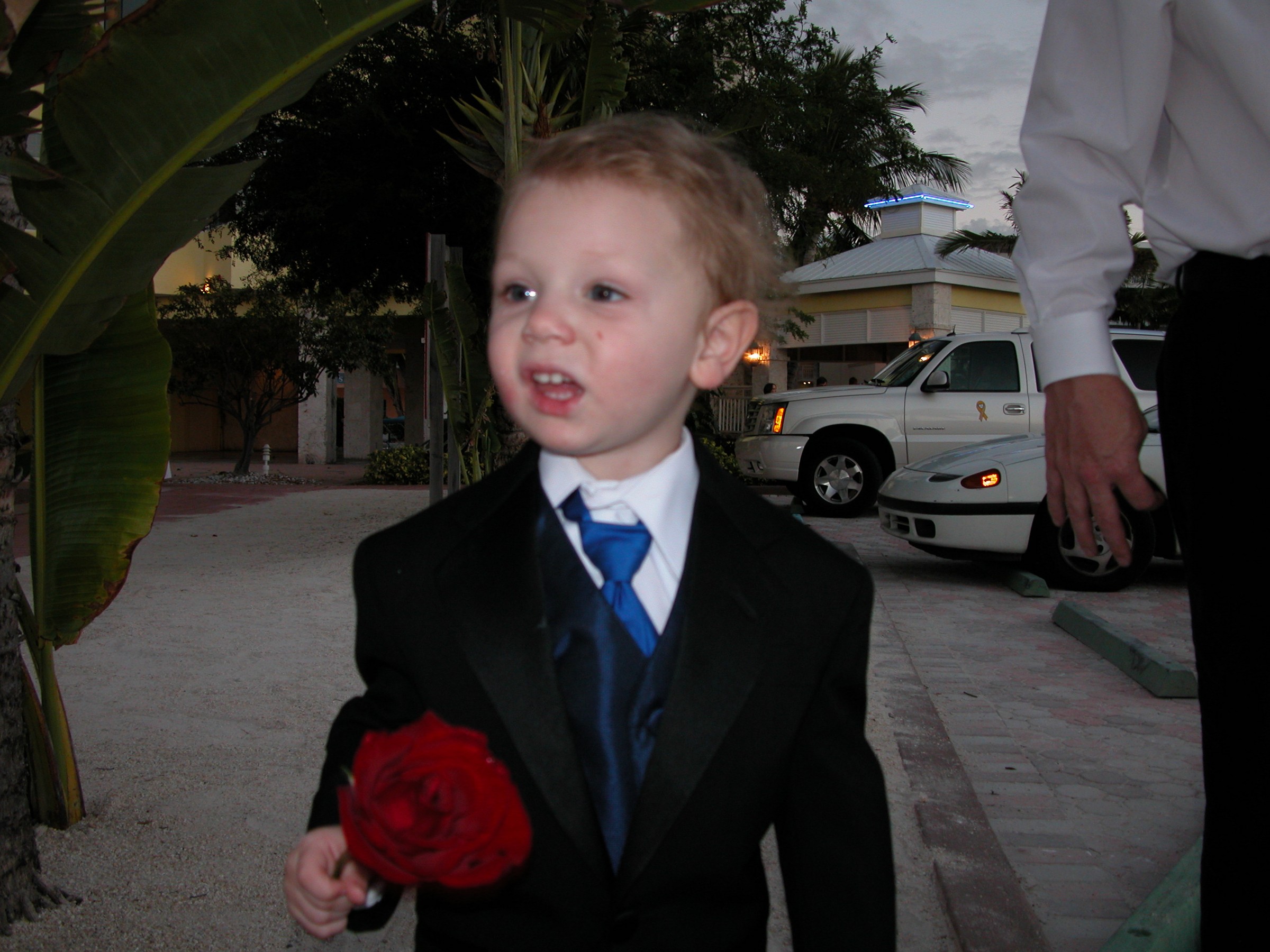 DSCN8517.JPG