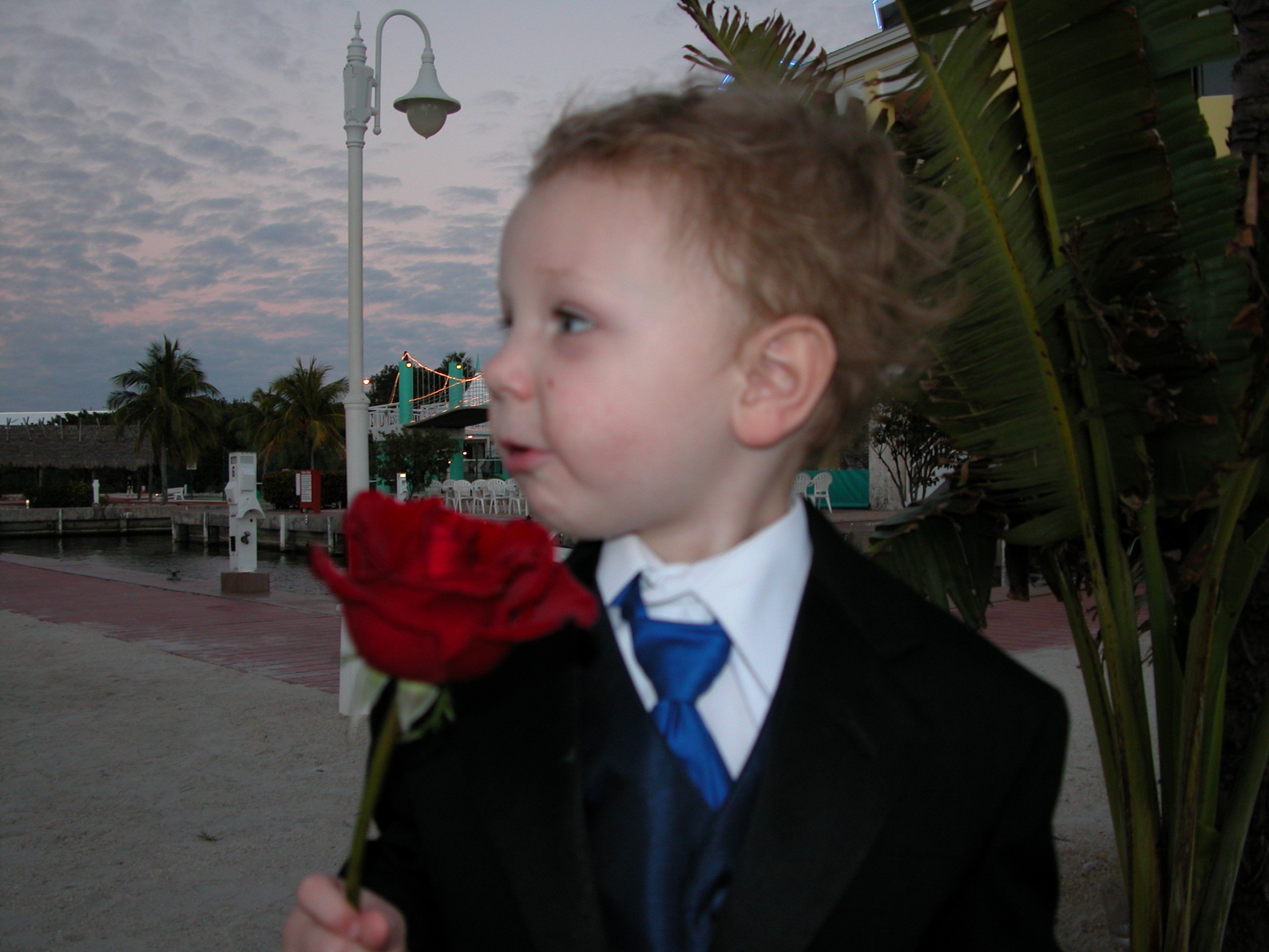 DSCN8519.JPG