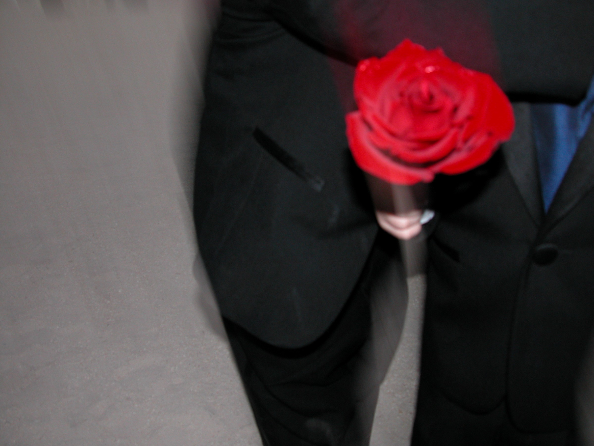 DSCN8522.JPG