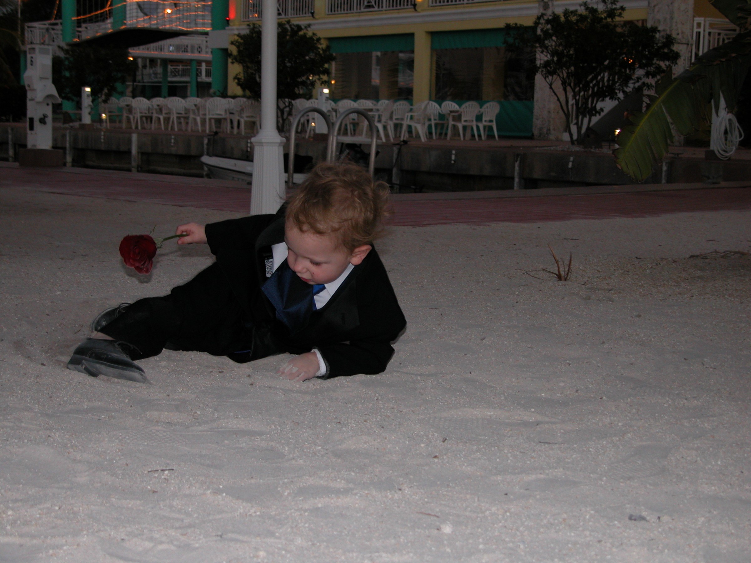 DSCN8526.JPG