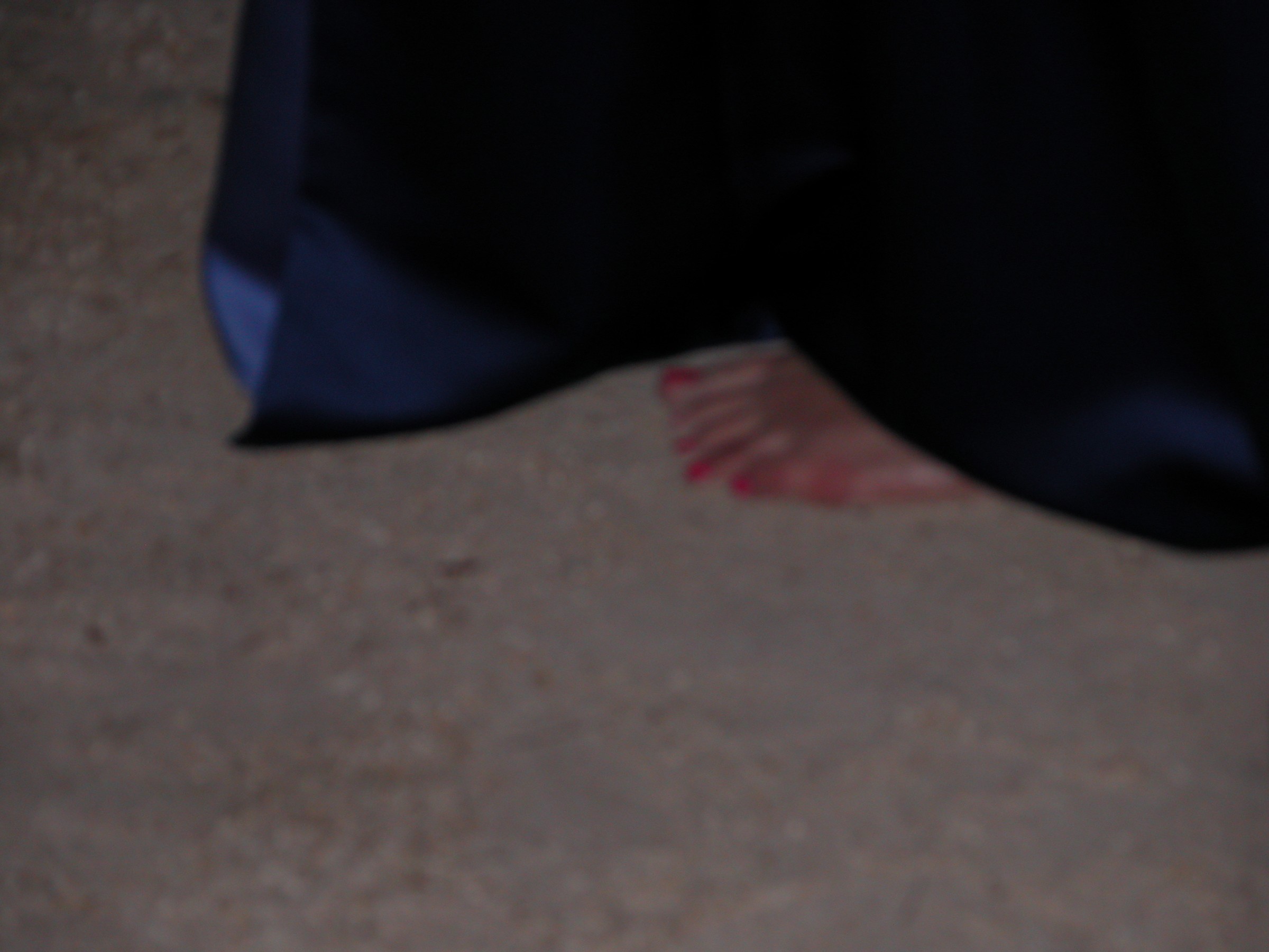 DSCN8530.JPG