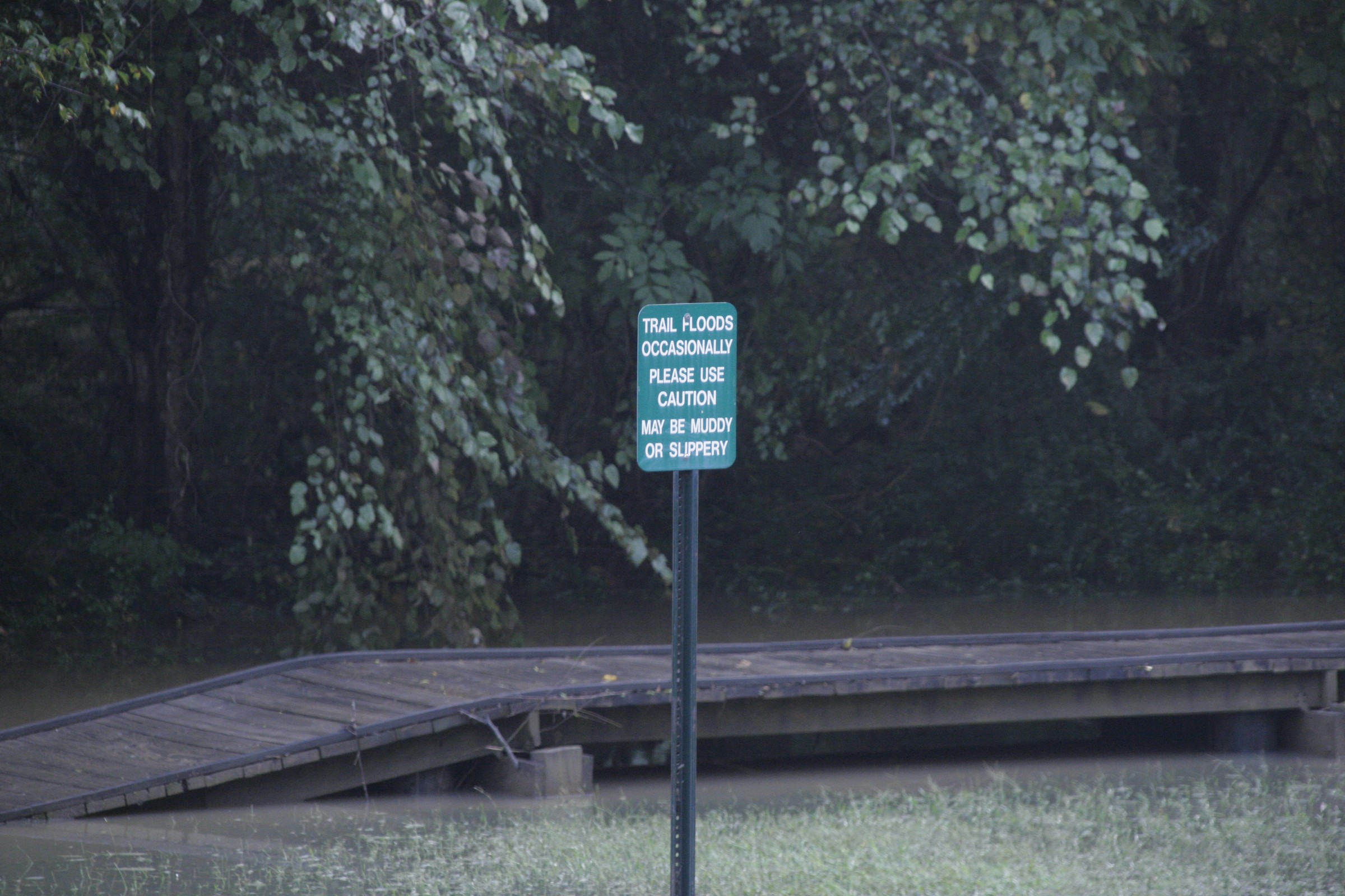 atl_3664.JPG