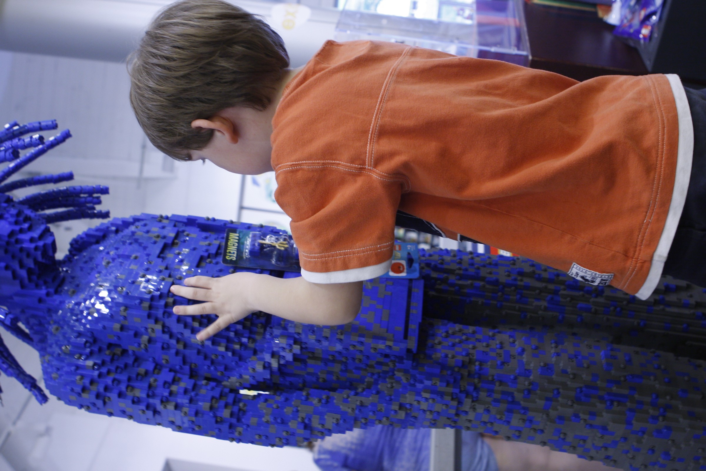 _MG_0023.JPG