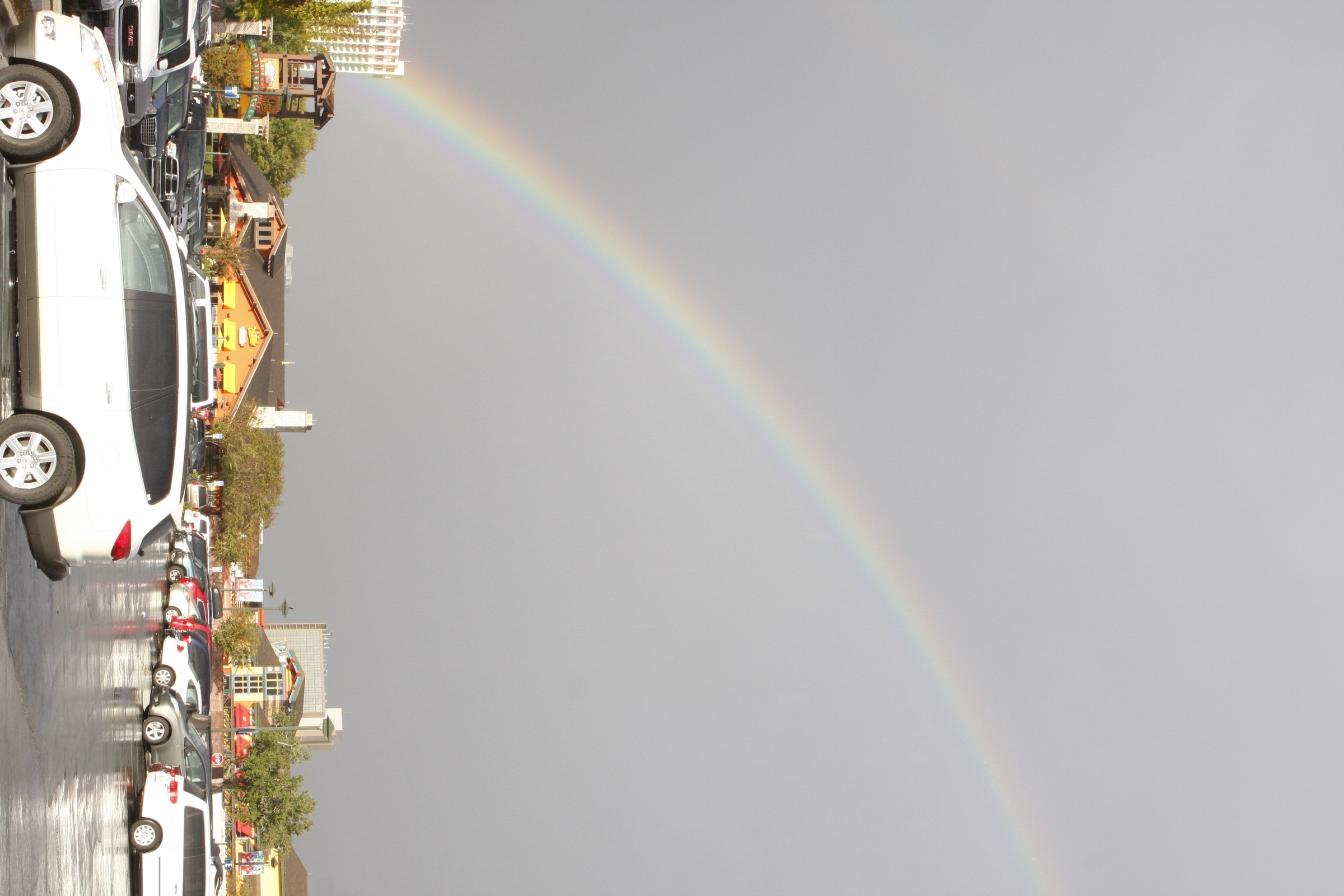 _MG_0114.JPG