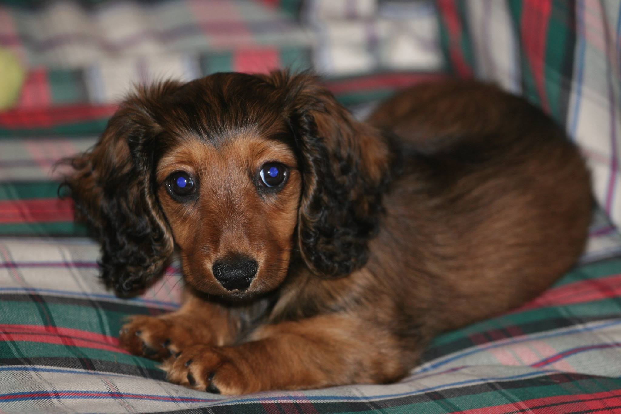 maxine 2006 78_o.jpg