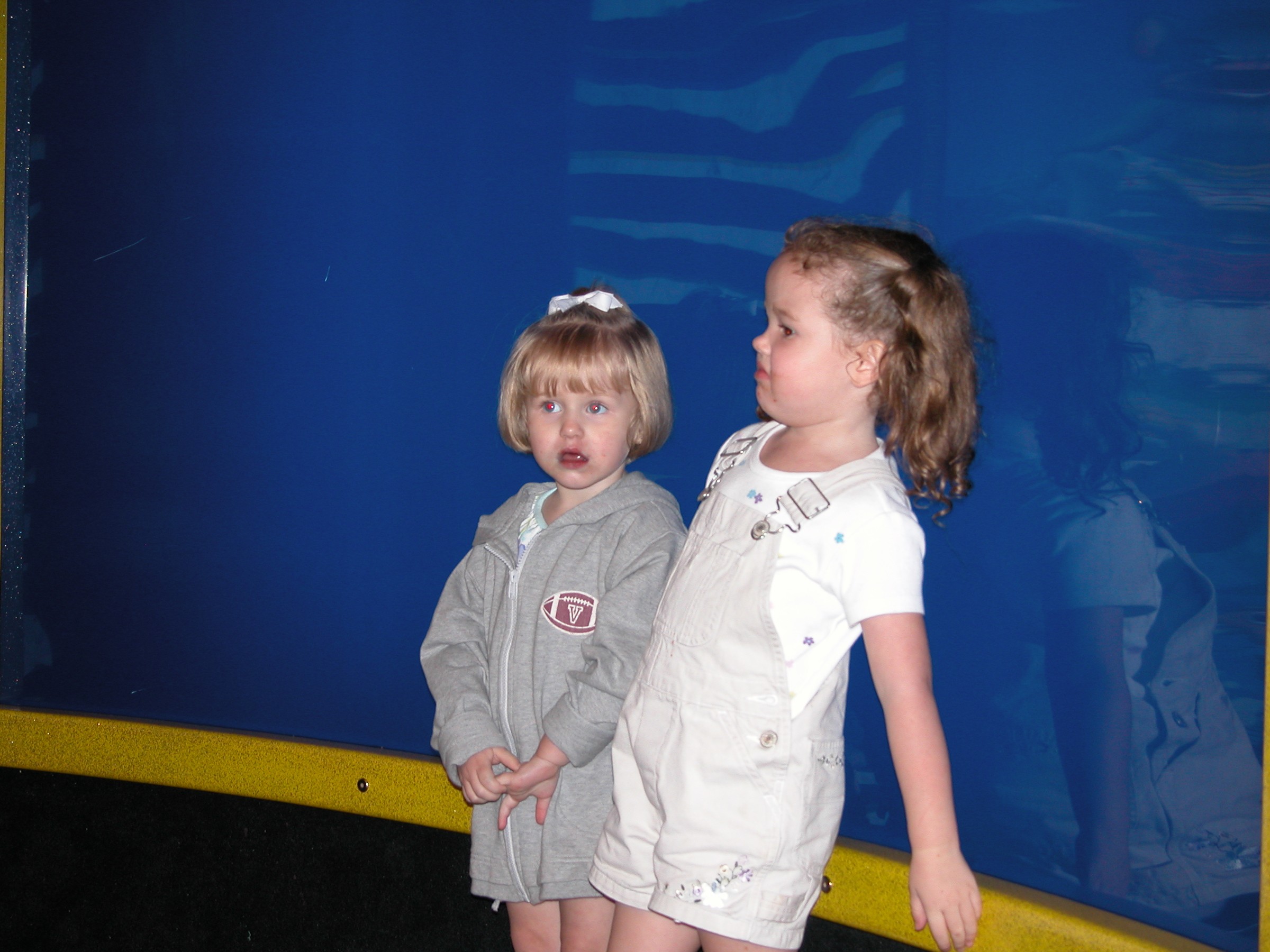DSCN3589.JPG