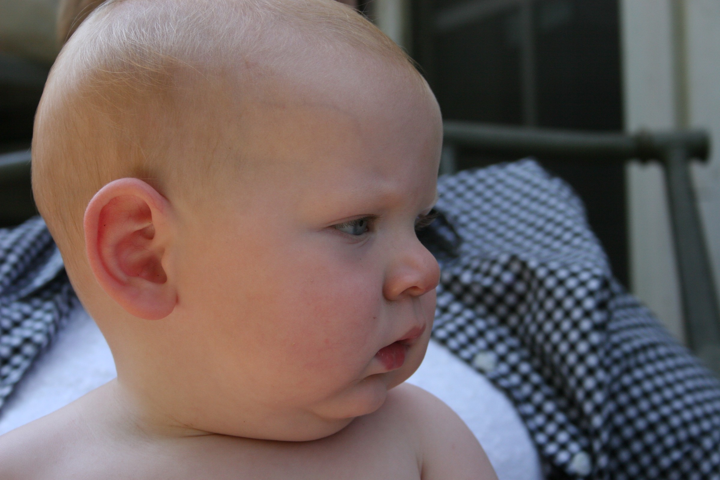 IMG_7660.JPG