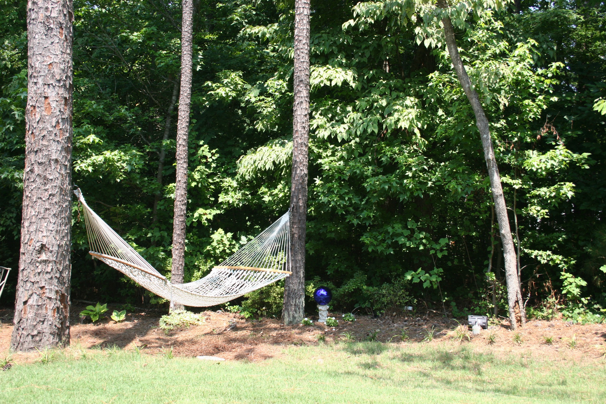 IMG_7689.JPG