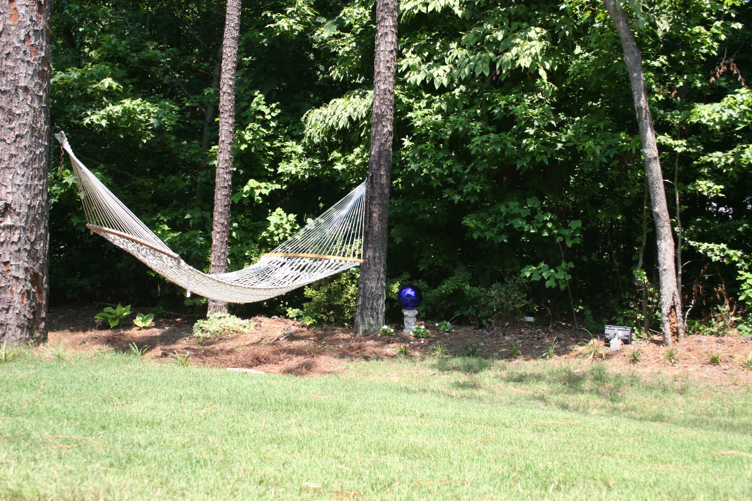 IMG_7691.JPG
