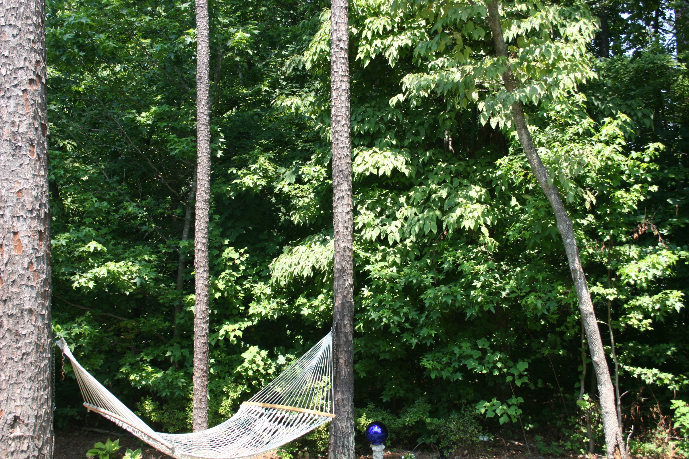 IMG_7692.JPG