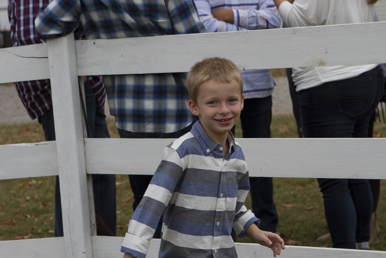 elkins preview-47415.jpg