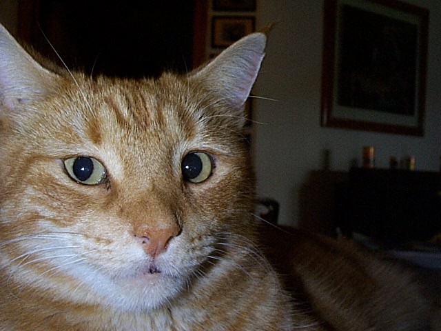 DCP00148.JPG