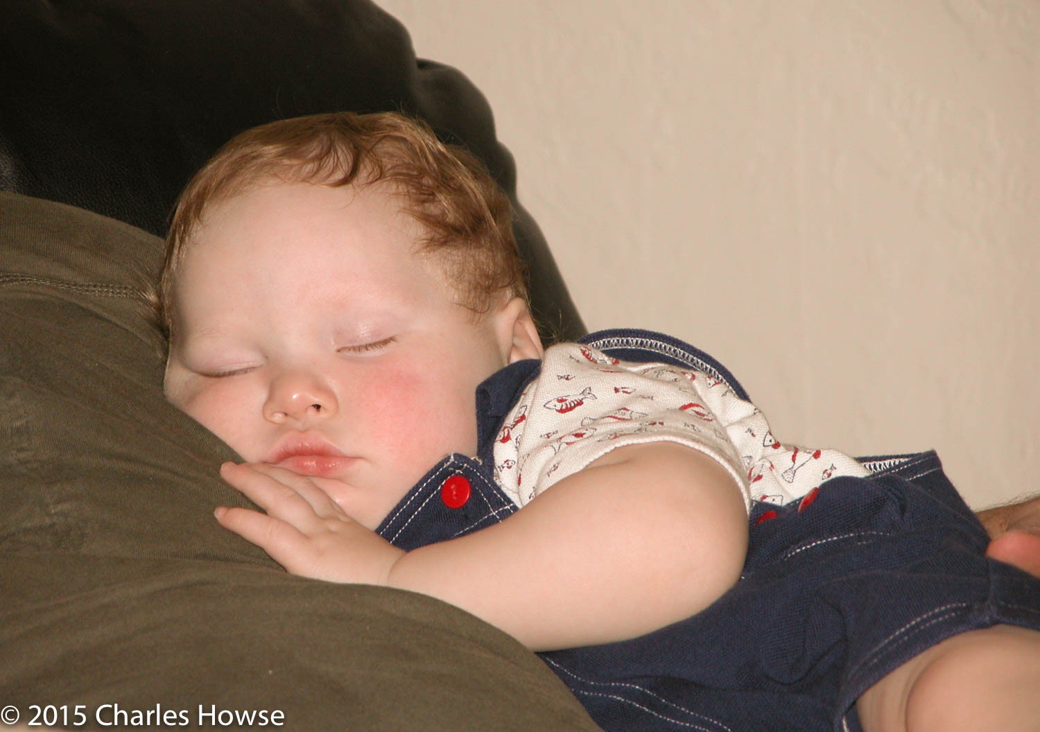 cole-0805.jpg