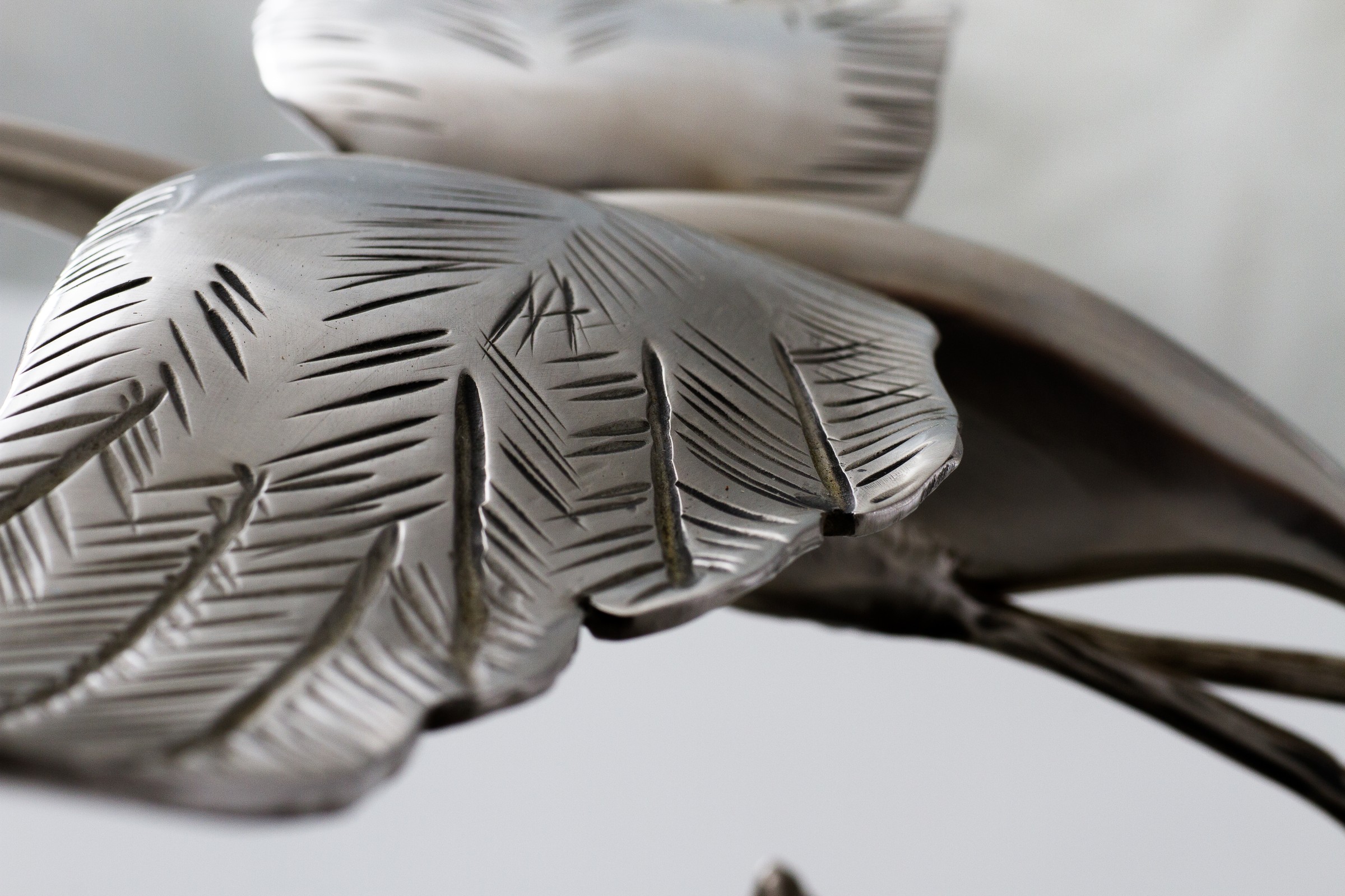 heron-53501.jpg