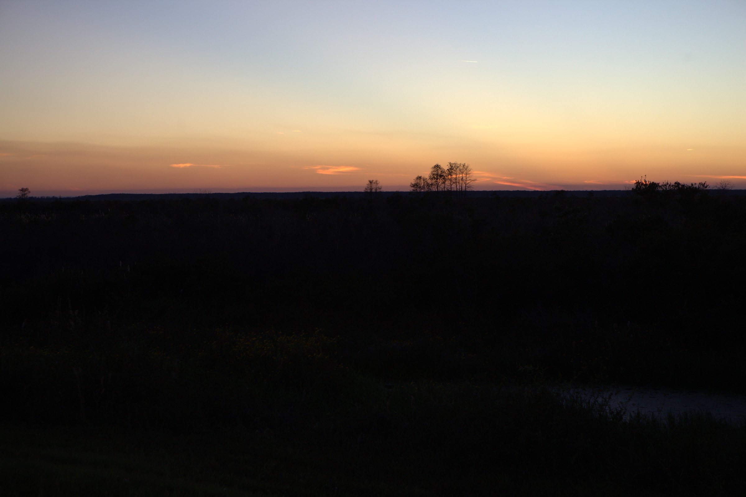 _MG_7611.CR2