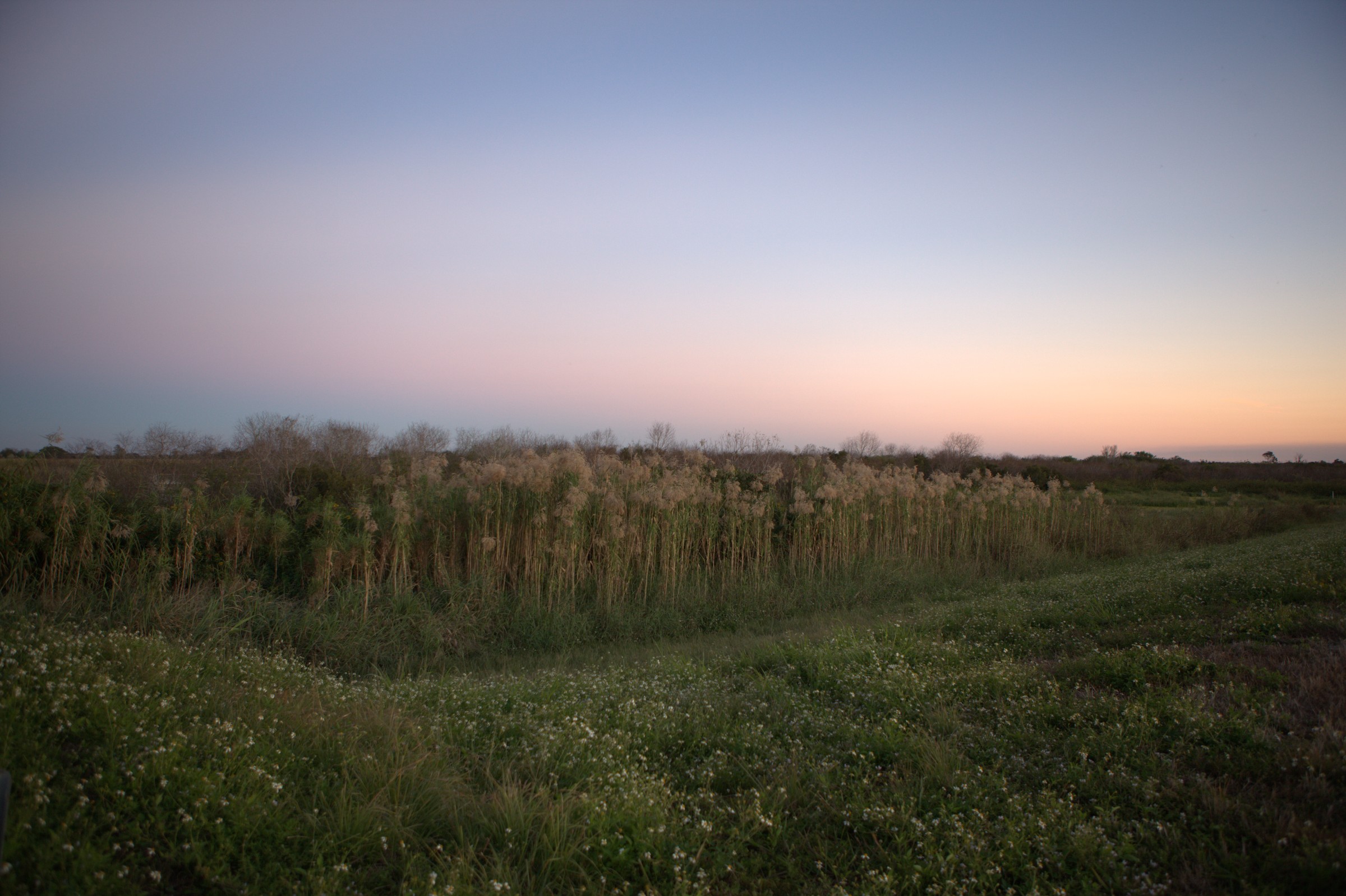 _MG_7616.CR2