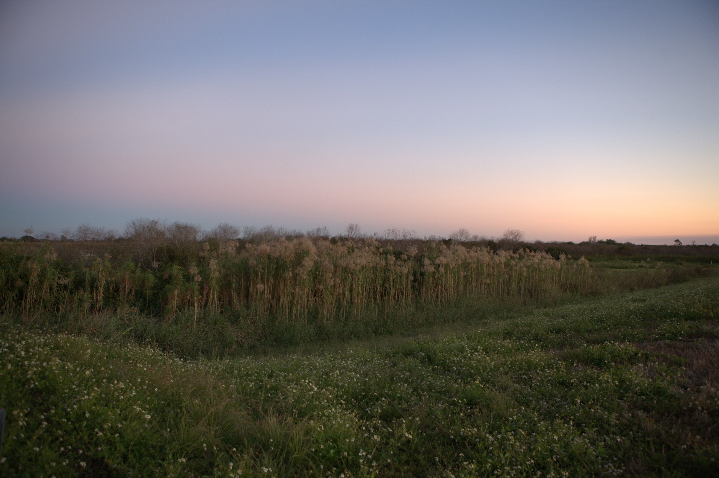 _MG_7617.CR2