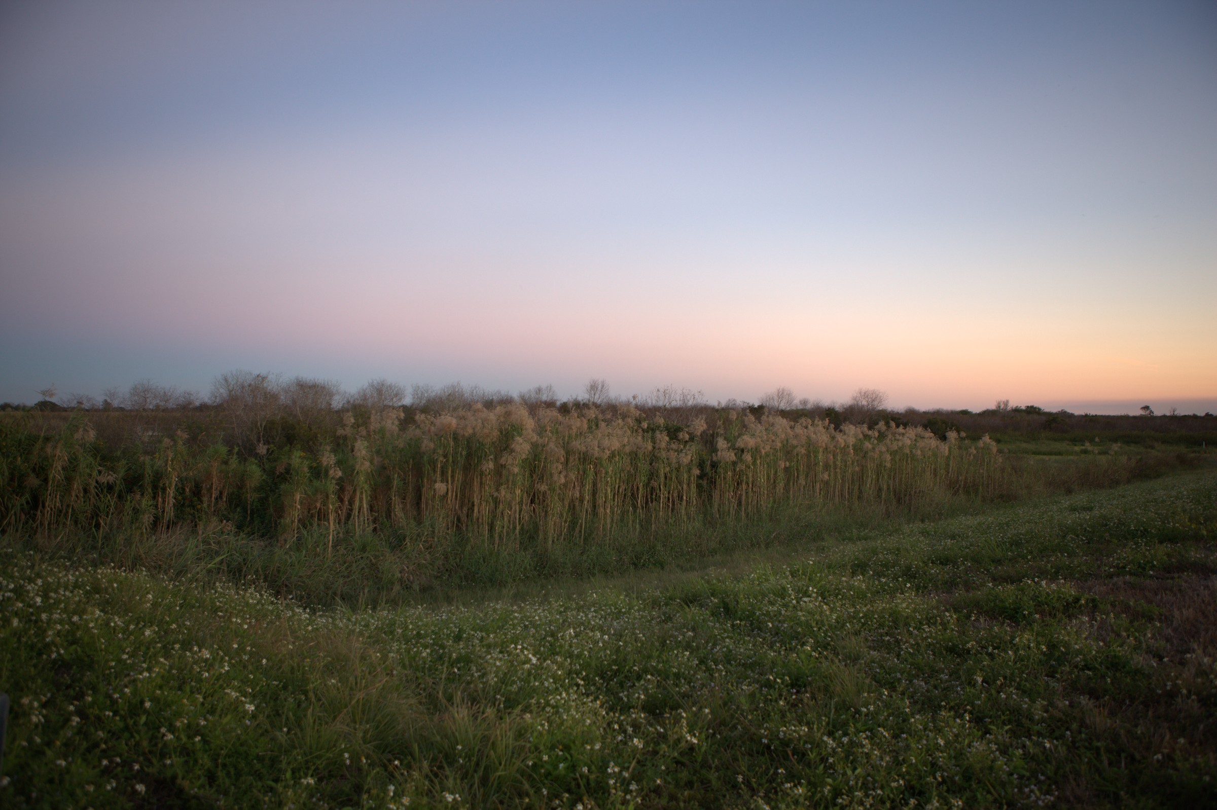 _MG_7618.CR2