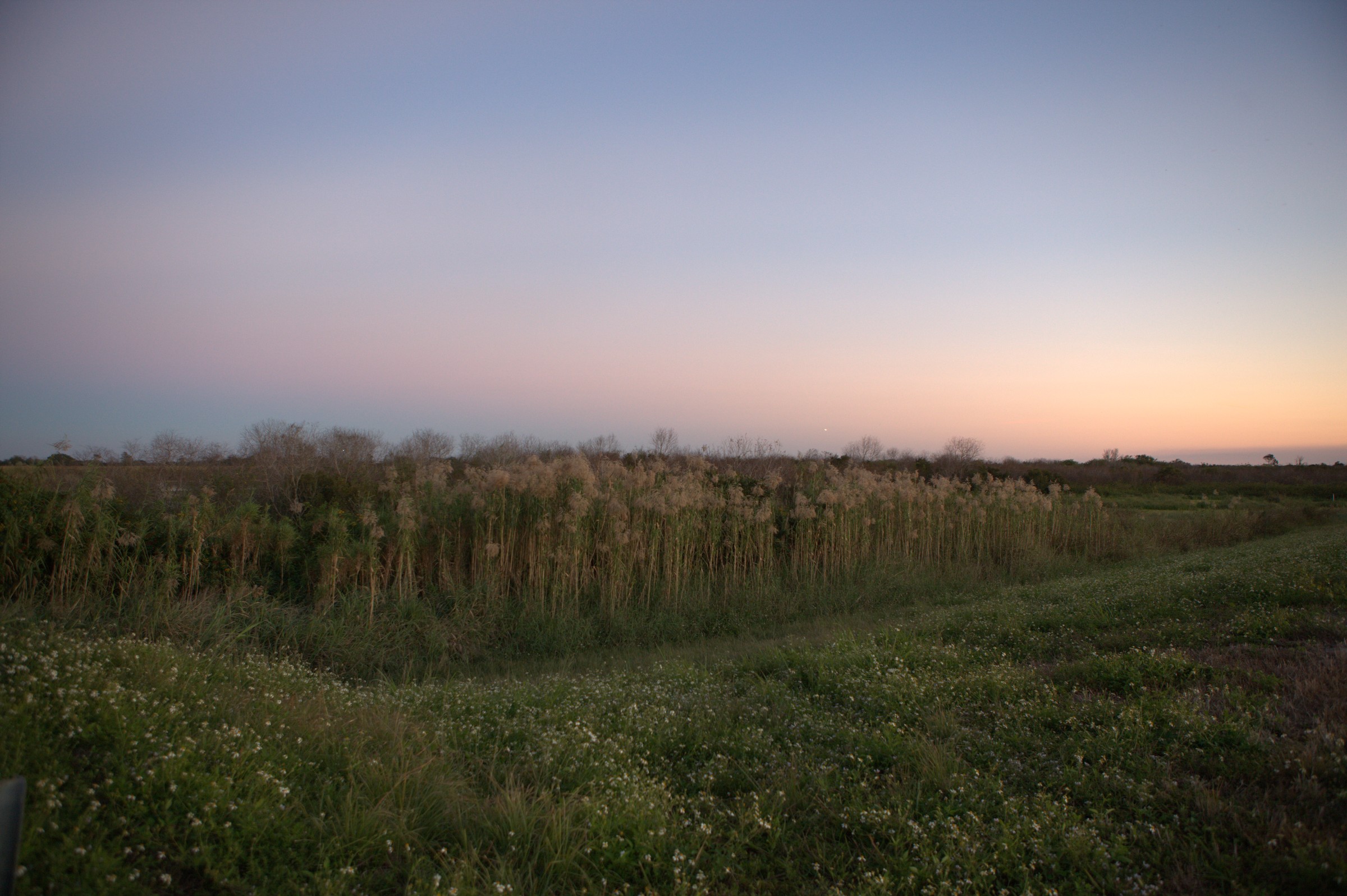 _MG_7619.CR2
