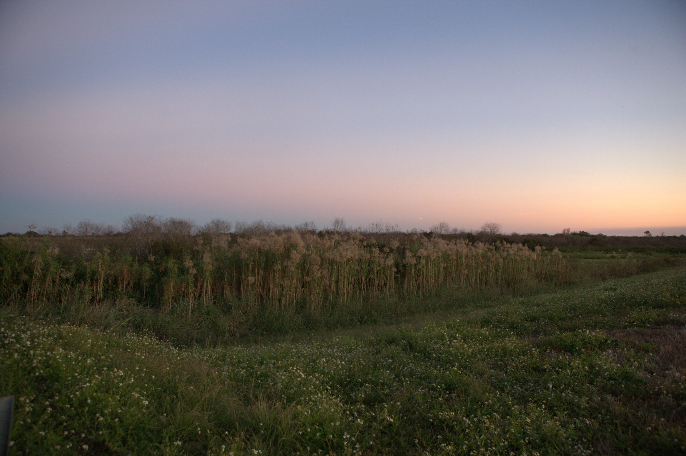_MG_7620.CR2