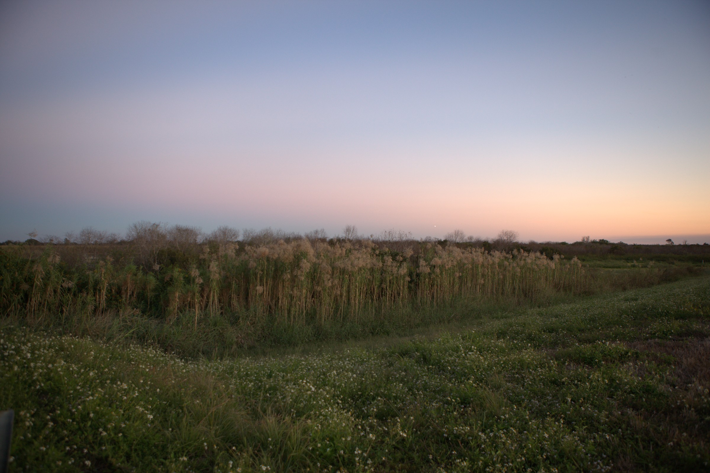 _MG_7621.CR2