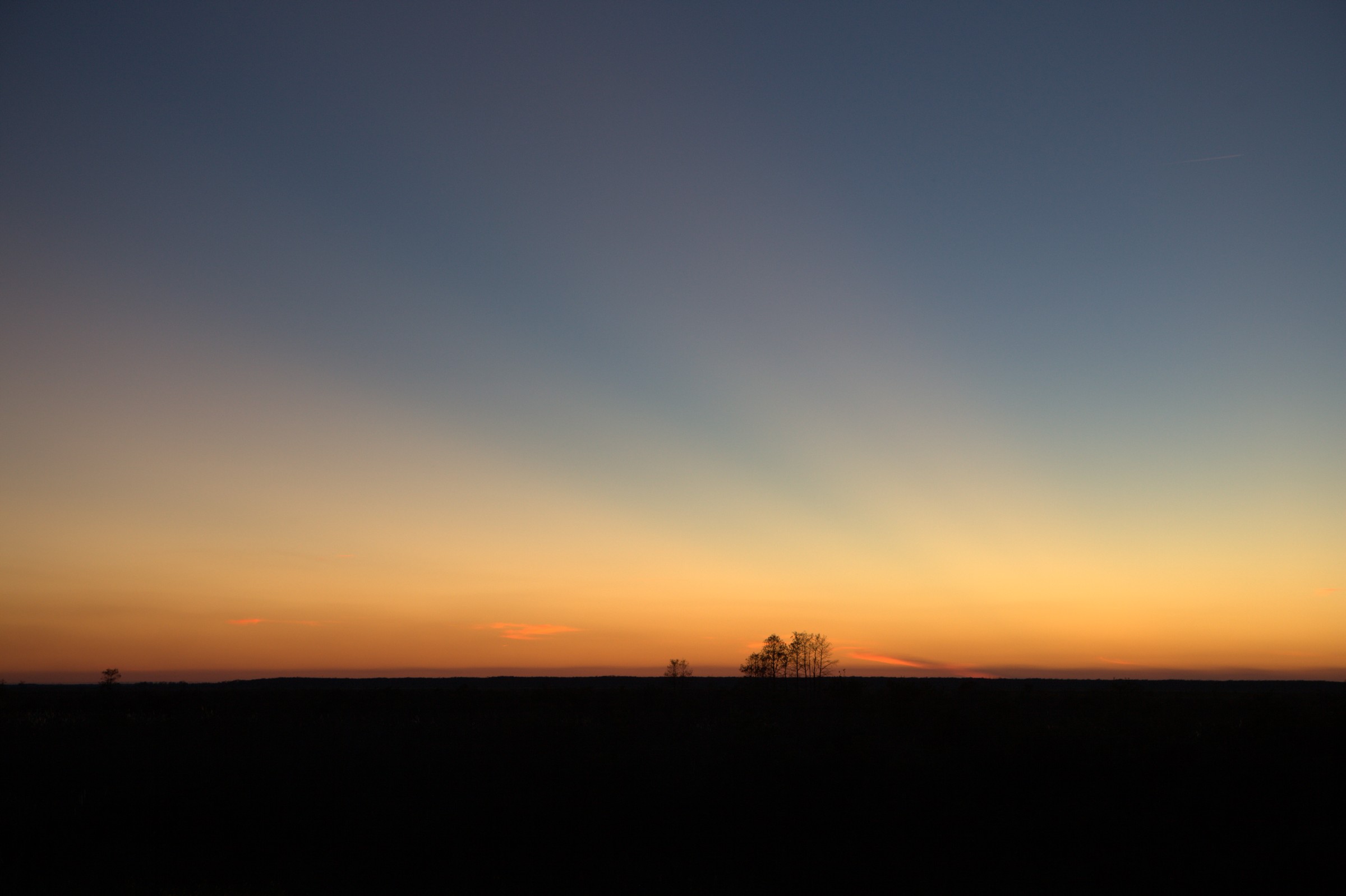 _MG_7637.CR2