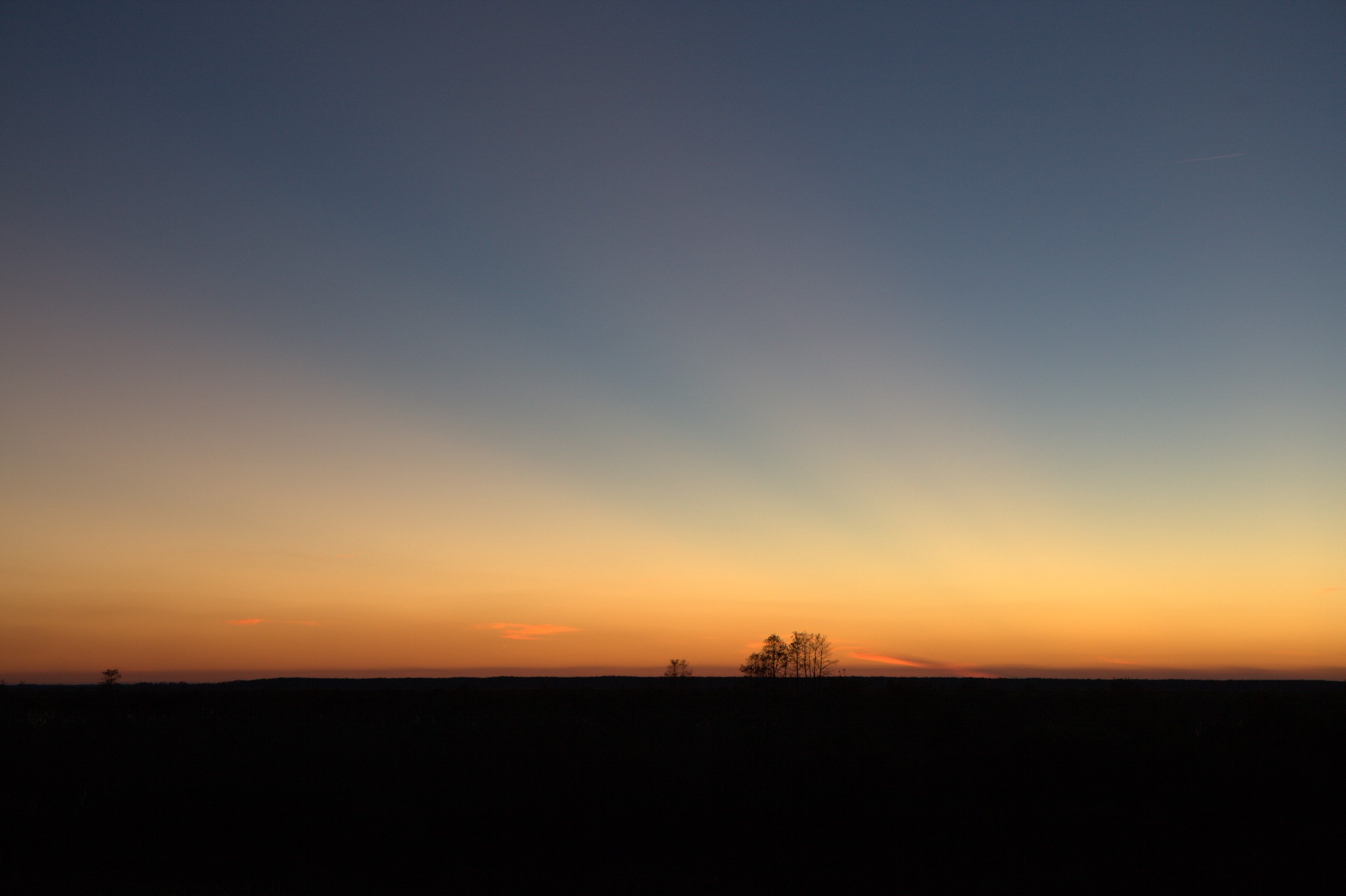 _MG_7638.CR2