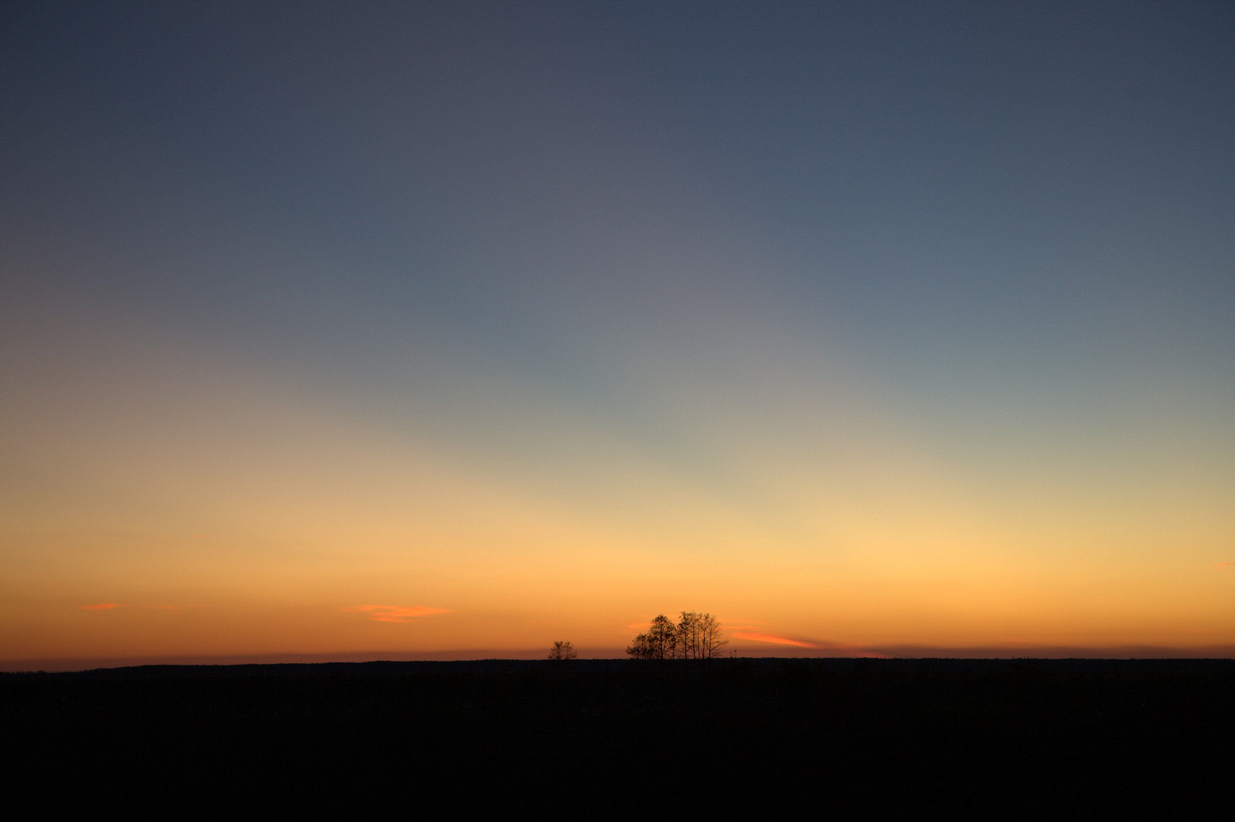 _MG_7640.CR2