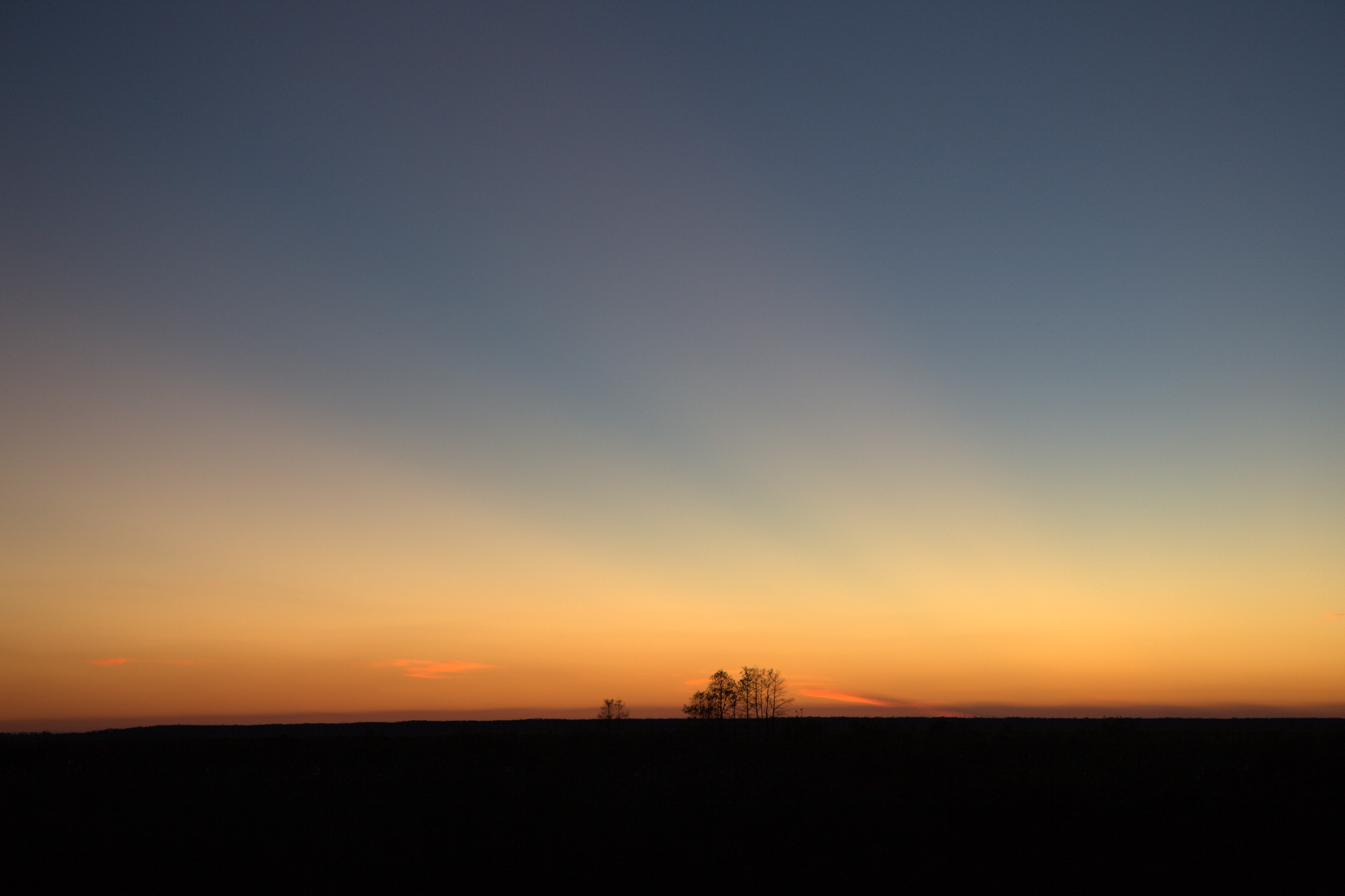 _MG_7641.CR2
