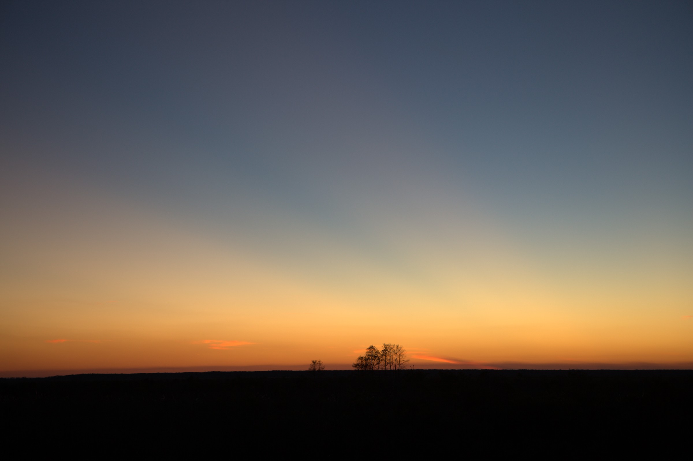 _MG_7642.CR2