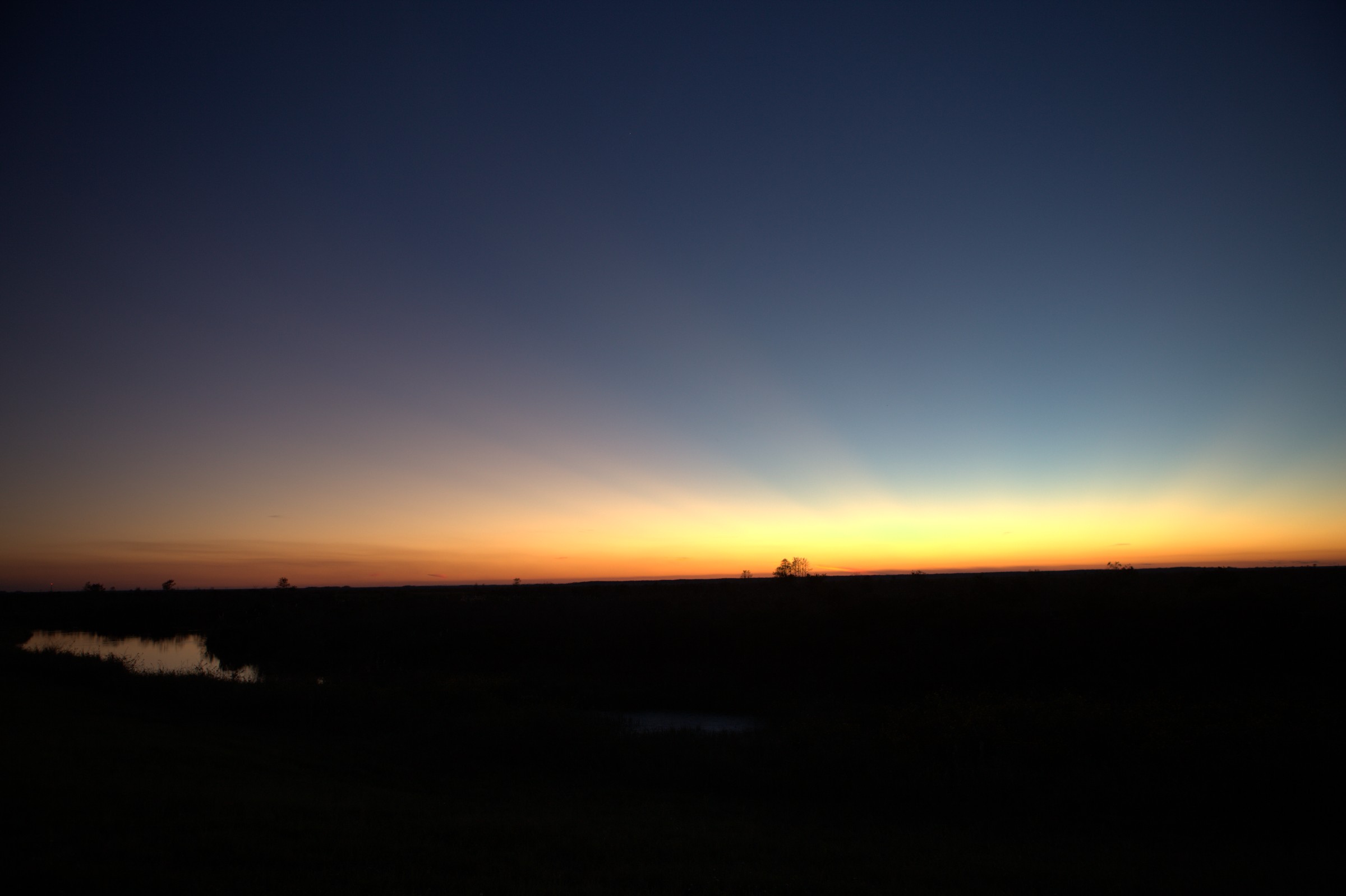 _MG_7645.CR2